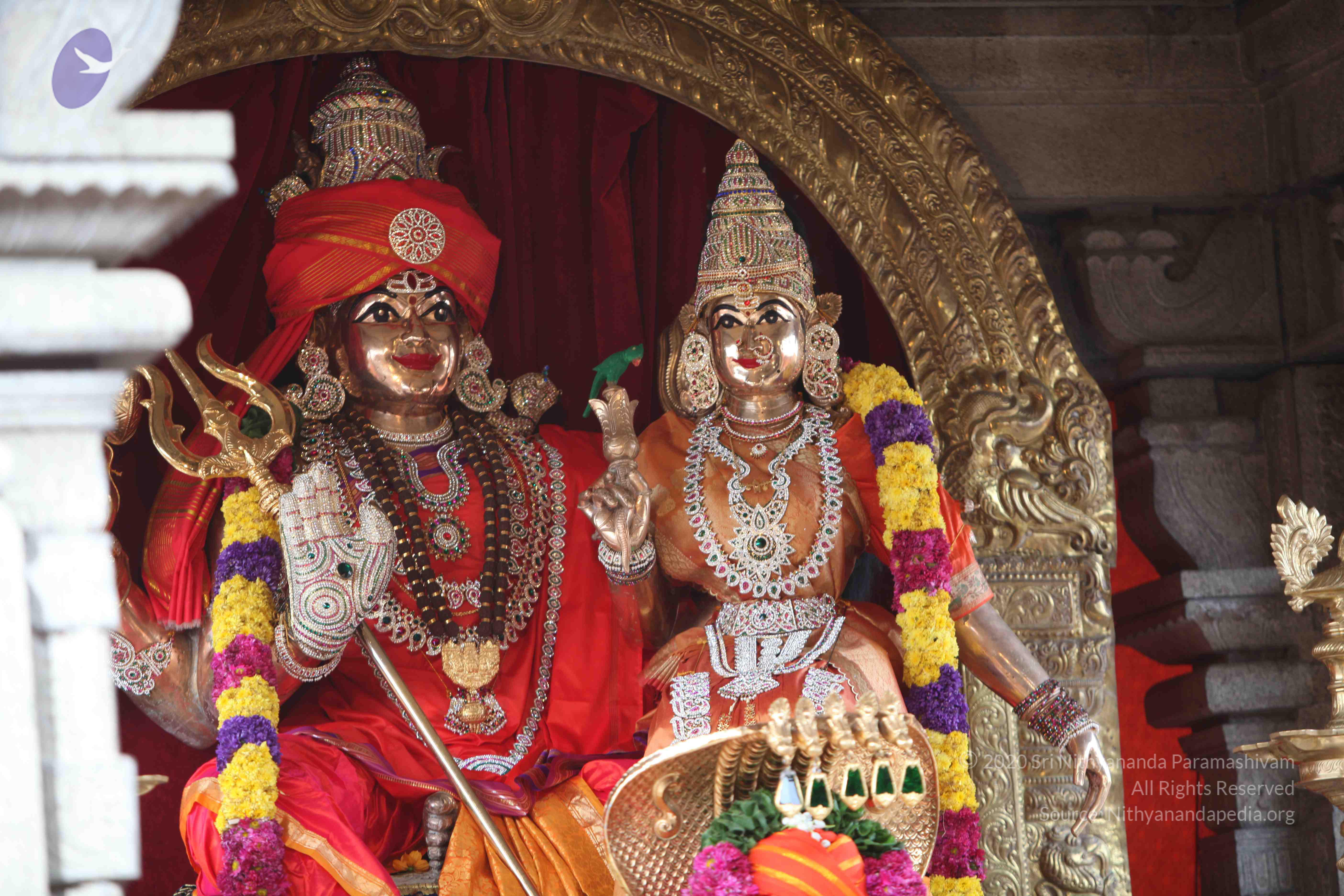 20101030_Photo_1025_IMG_7780_CMP_WM