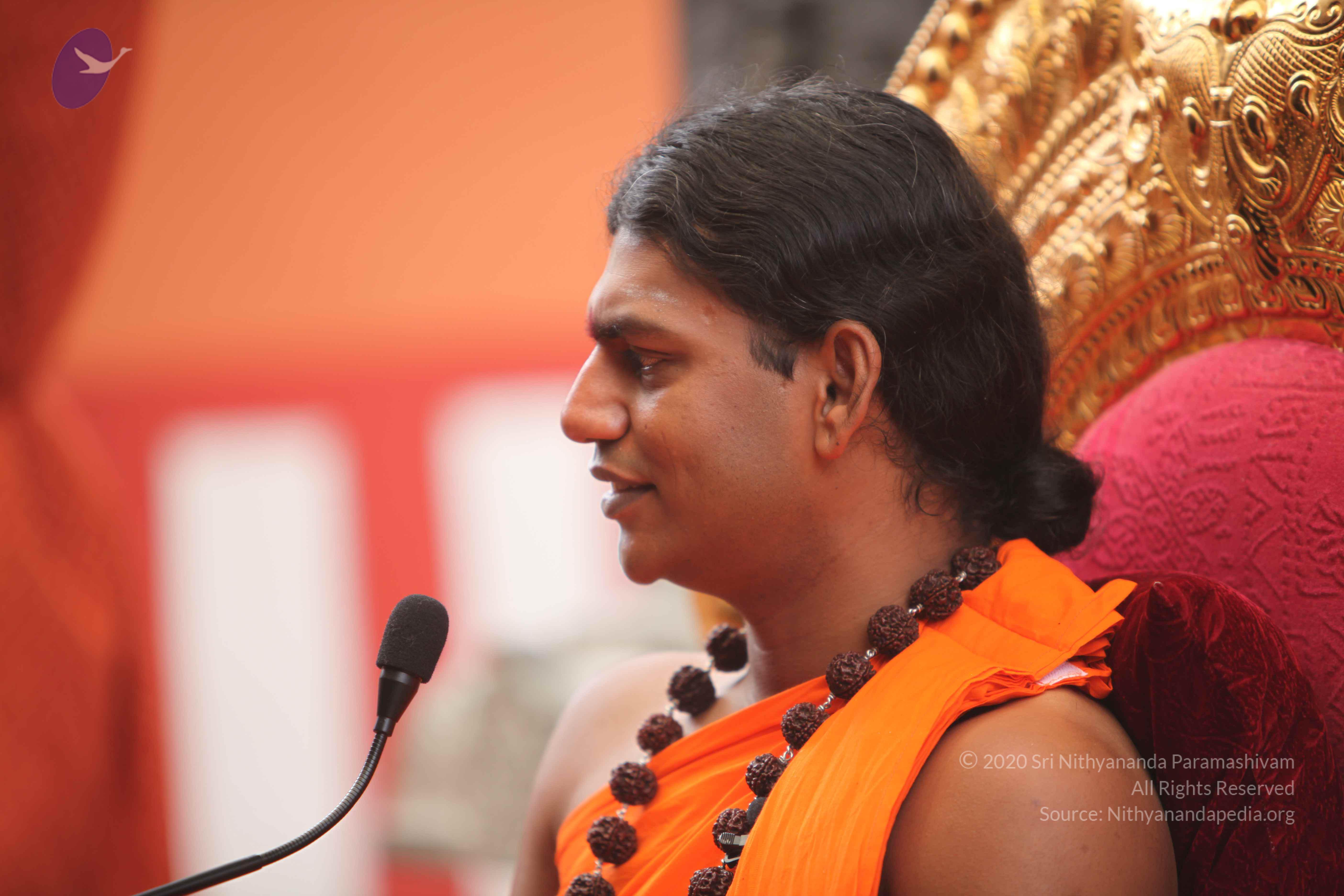 20101030_Photo_1028_IMG_7867_CMP_WM