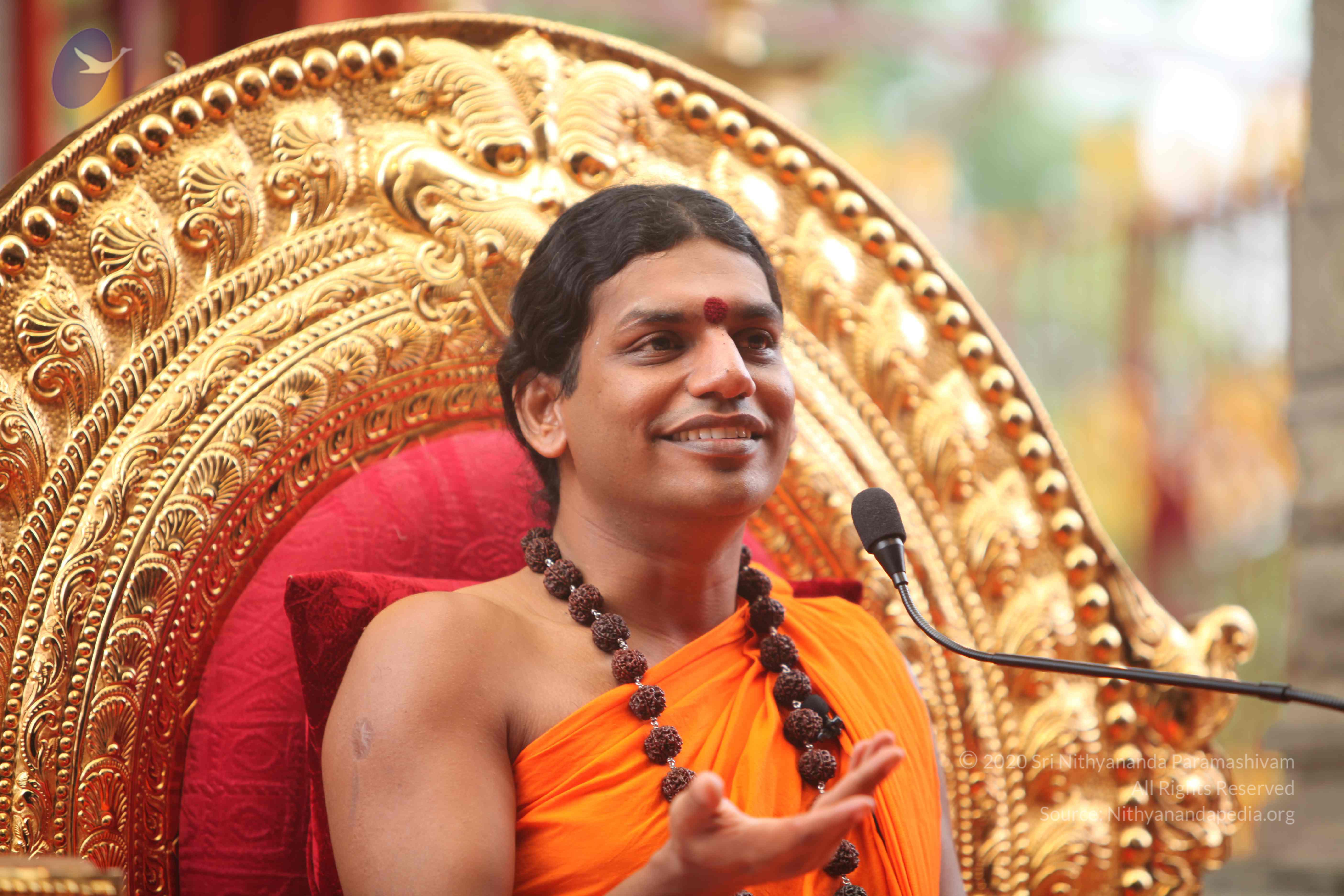 20101030_Photo_1029_IMG_7898_CMP_WM