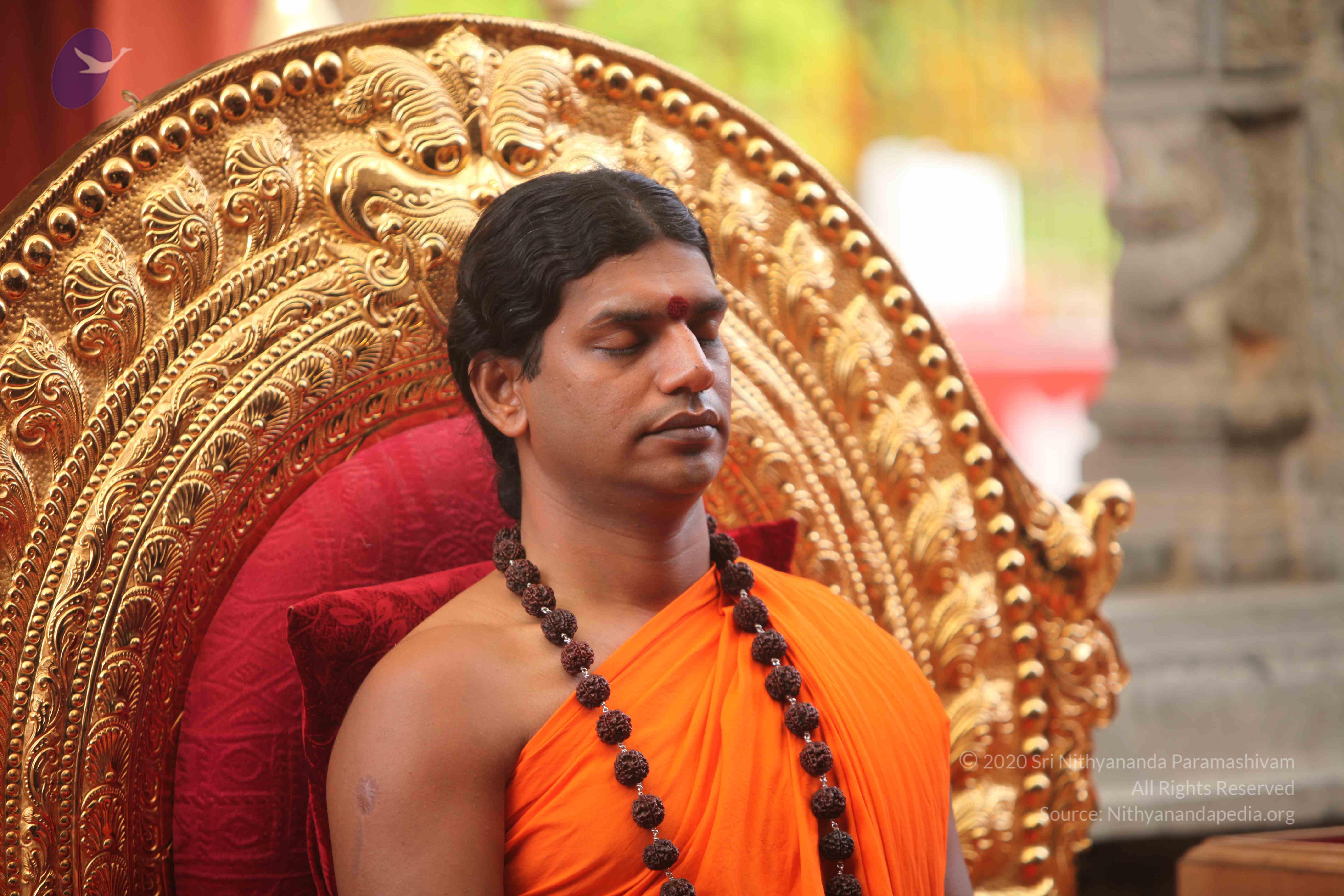 20101030_Photo_1035_IMG_7763_CMP_WM