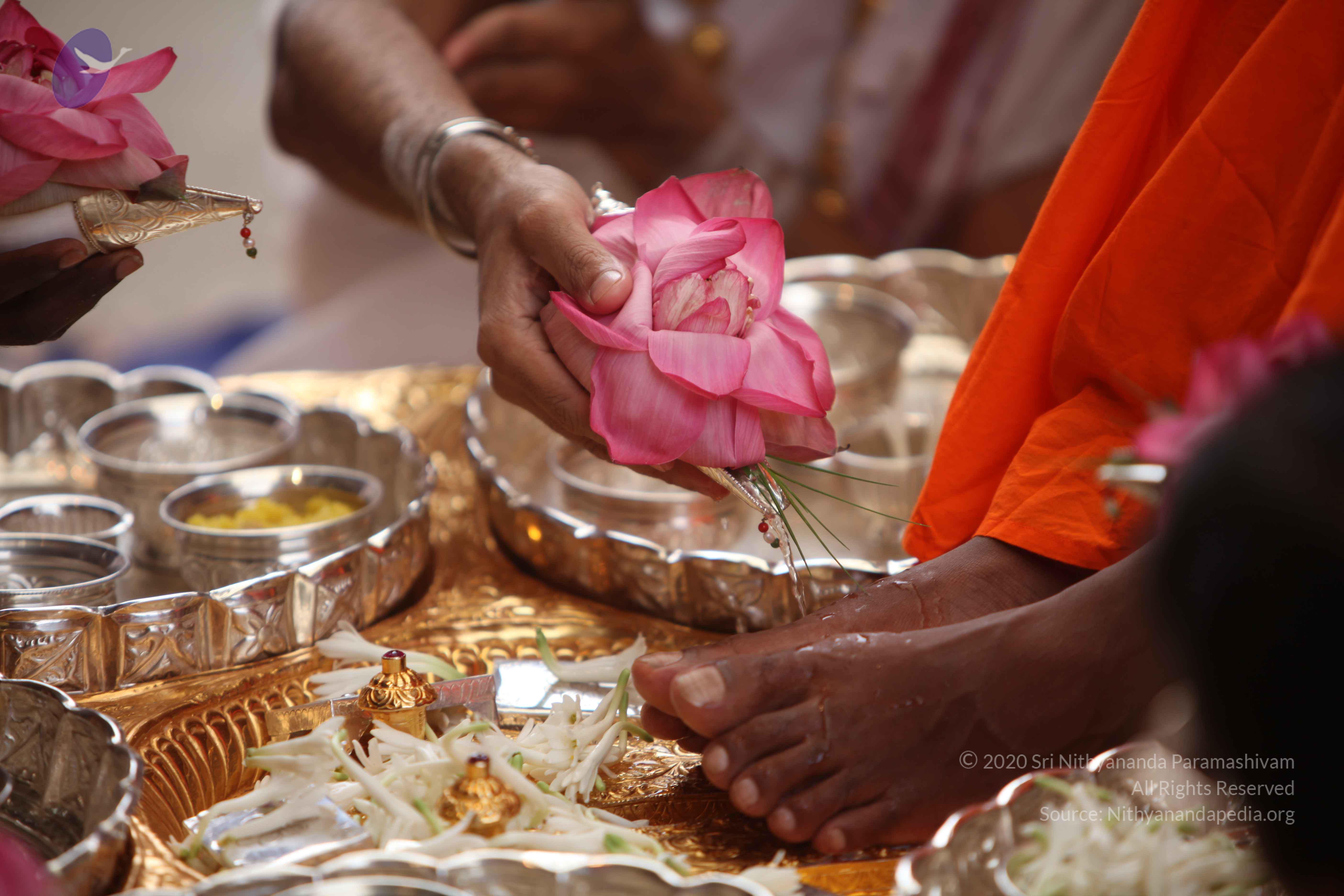 20101030_Photo_1037_IMG_7736_CMP_WM