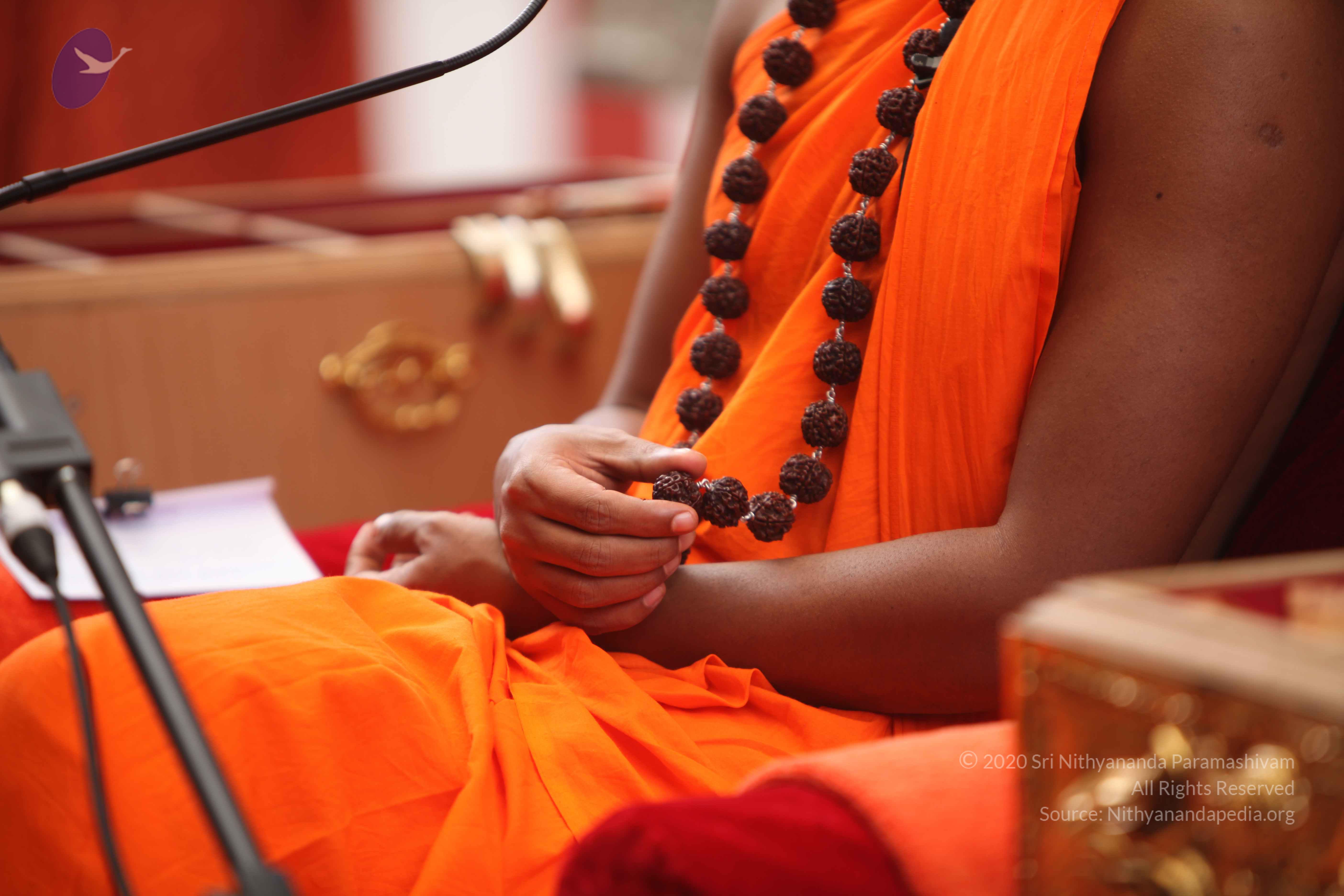 20101030_Photo_1043_IMG_7862_CMP_WM