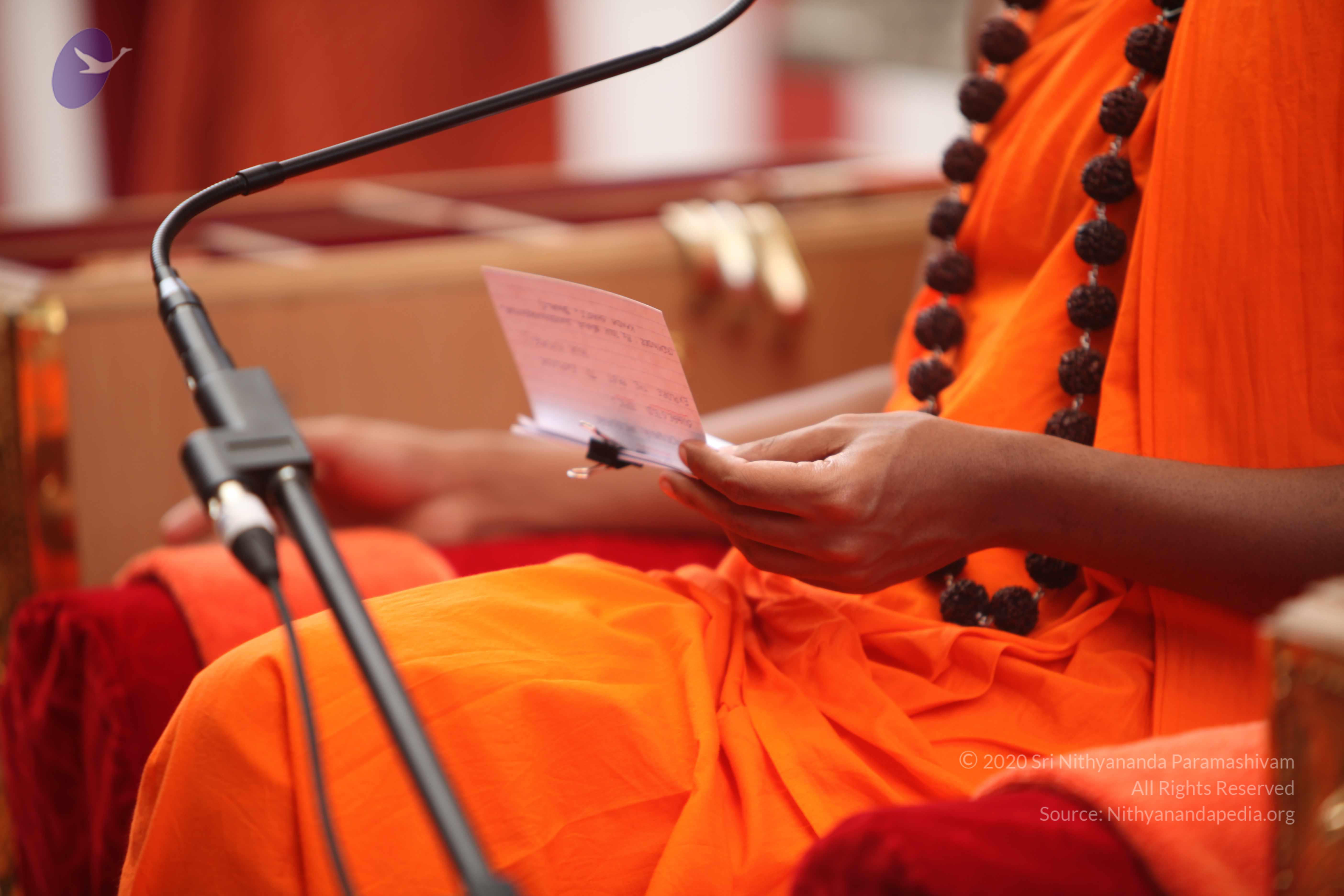 20101030_Photo_1044_IMG_7855_CMP_WM