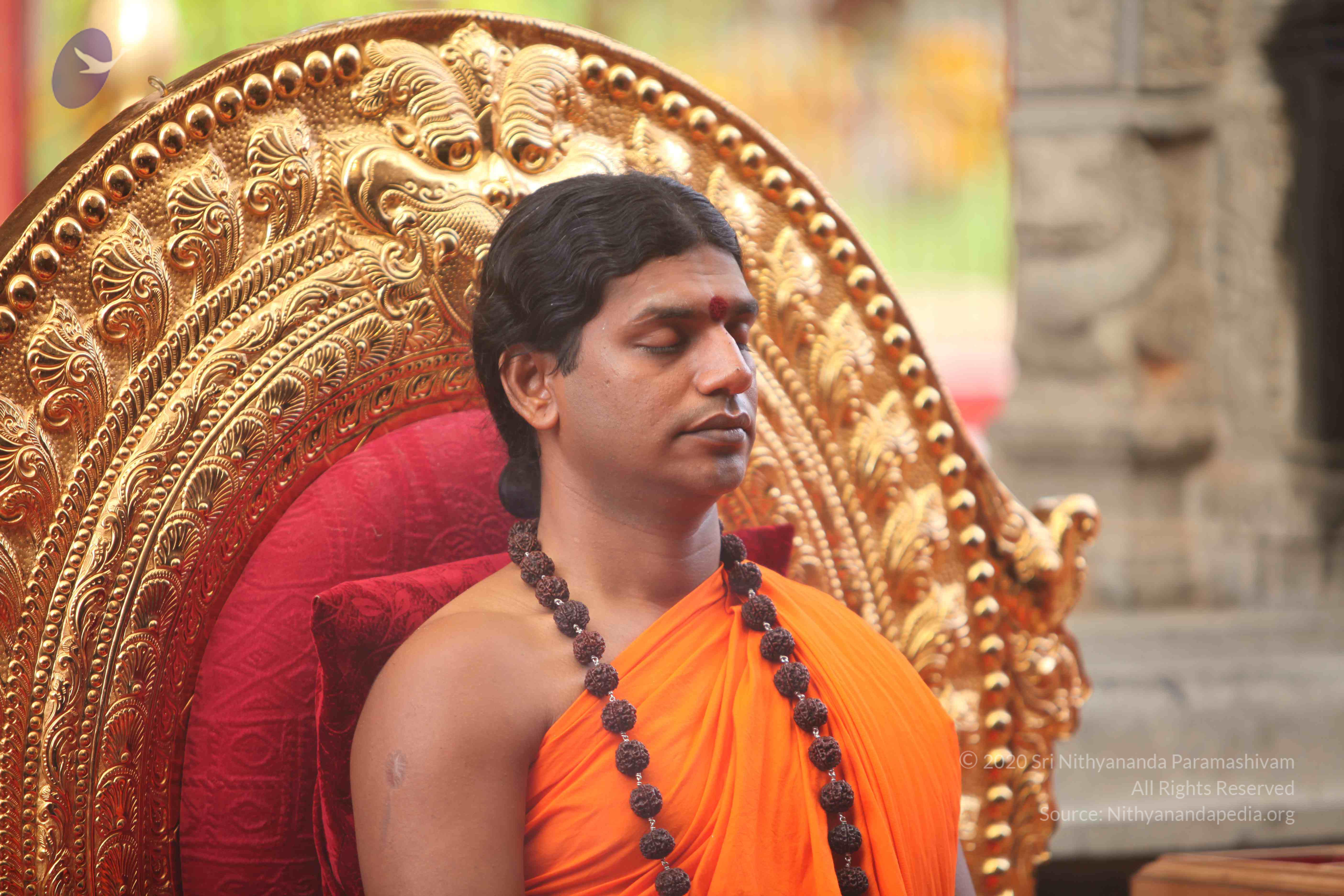 20101030_Photo_1046_IMG_7785_CMP_WM