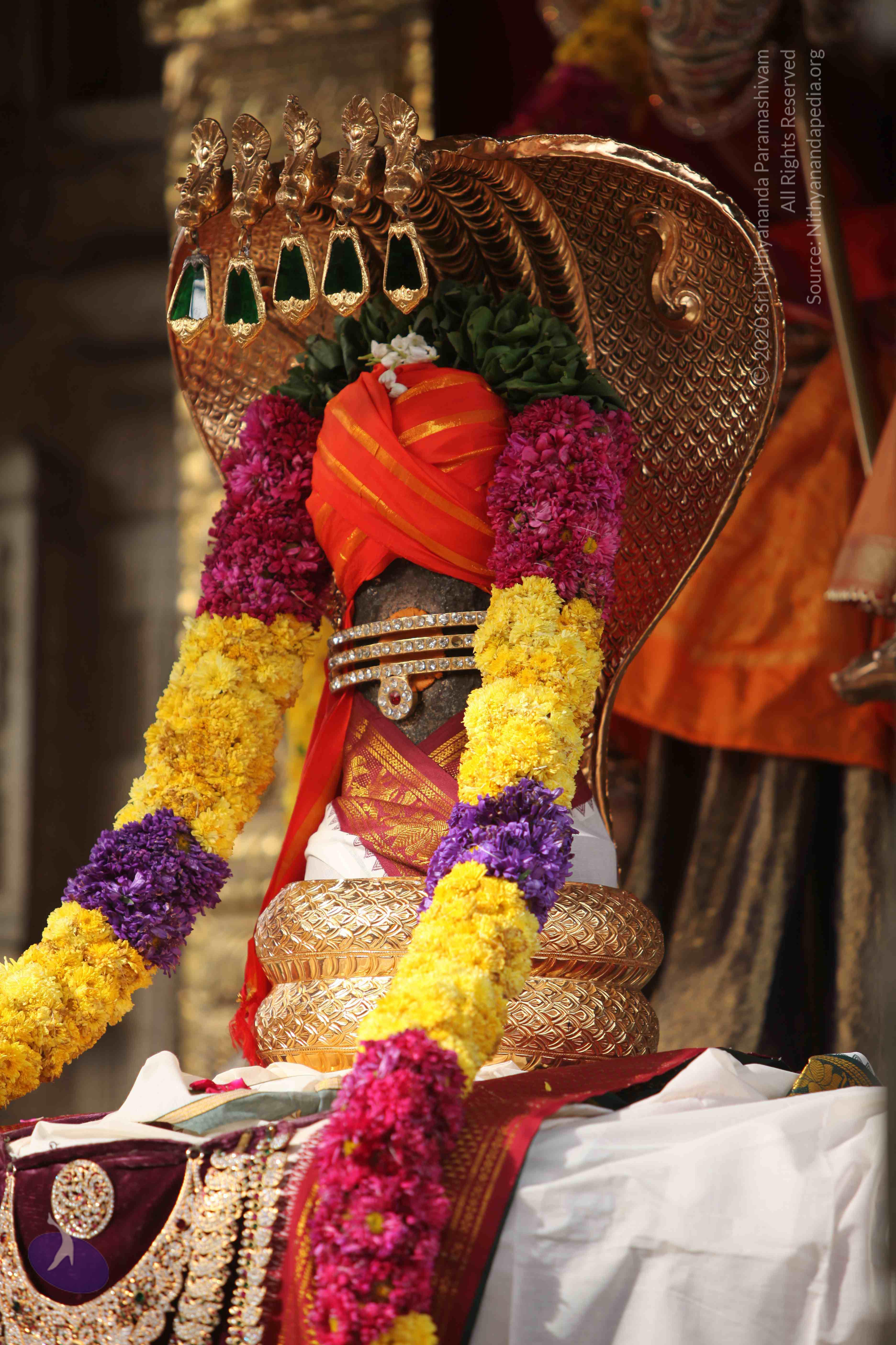 20101030_Photo_1050_IMG_7751_CMP_WM