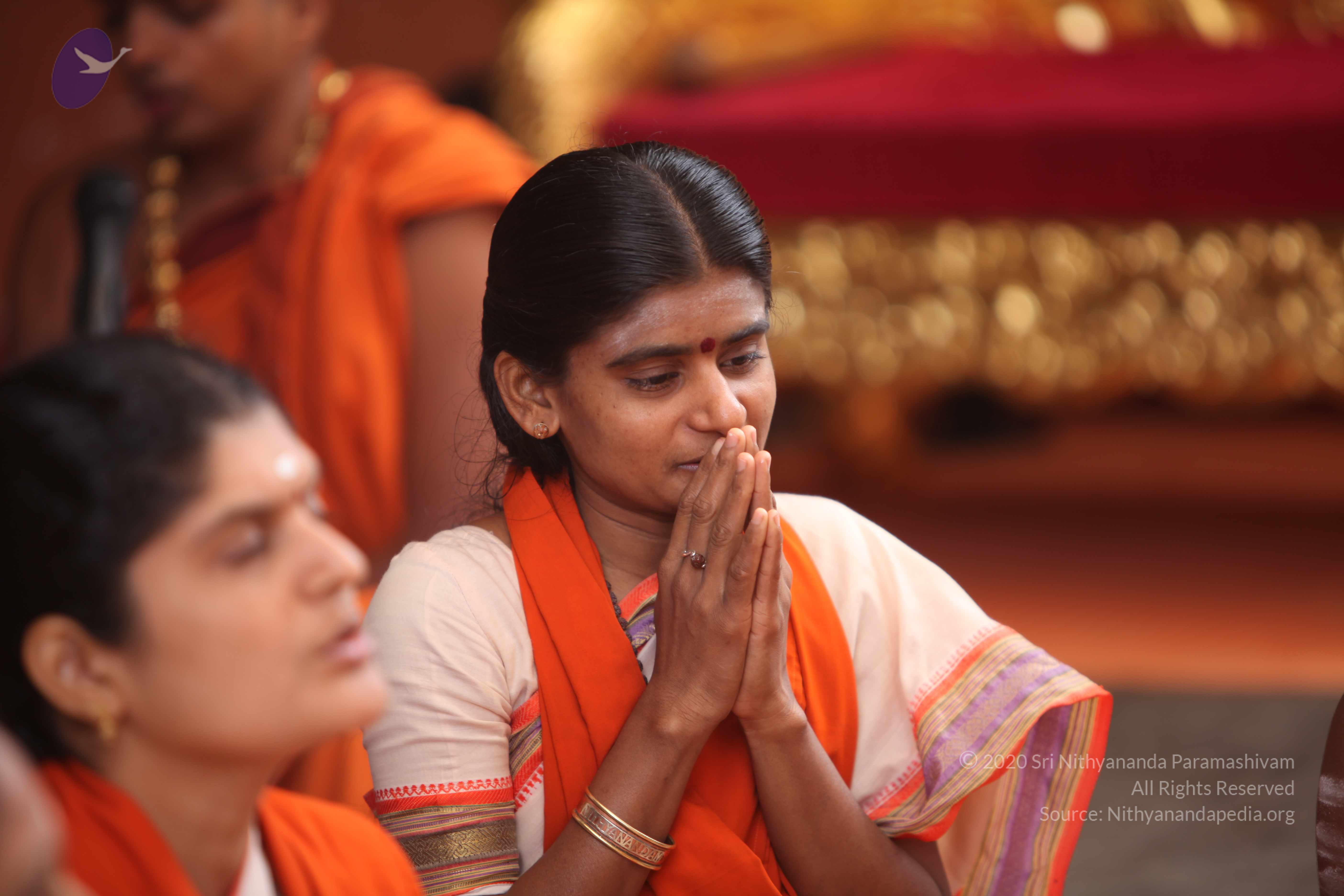 20101030_Photo_1052_IMG_7733_CMP_WM