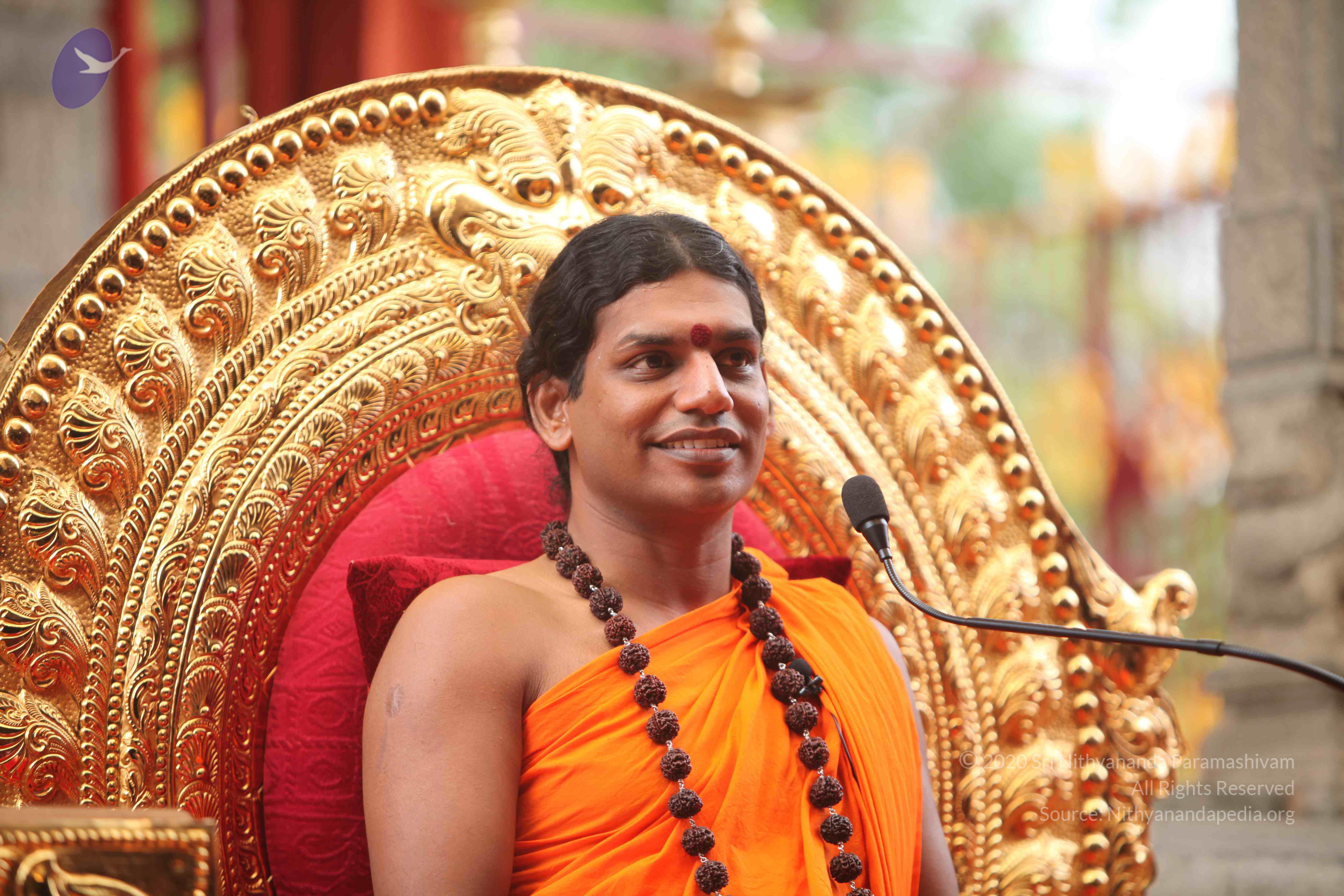 20101030_Photo_1053_IMG_7908_CMP_WM