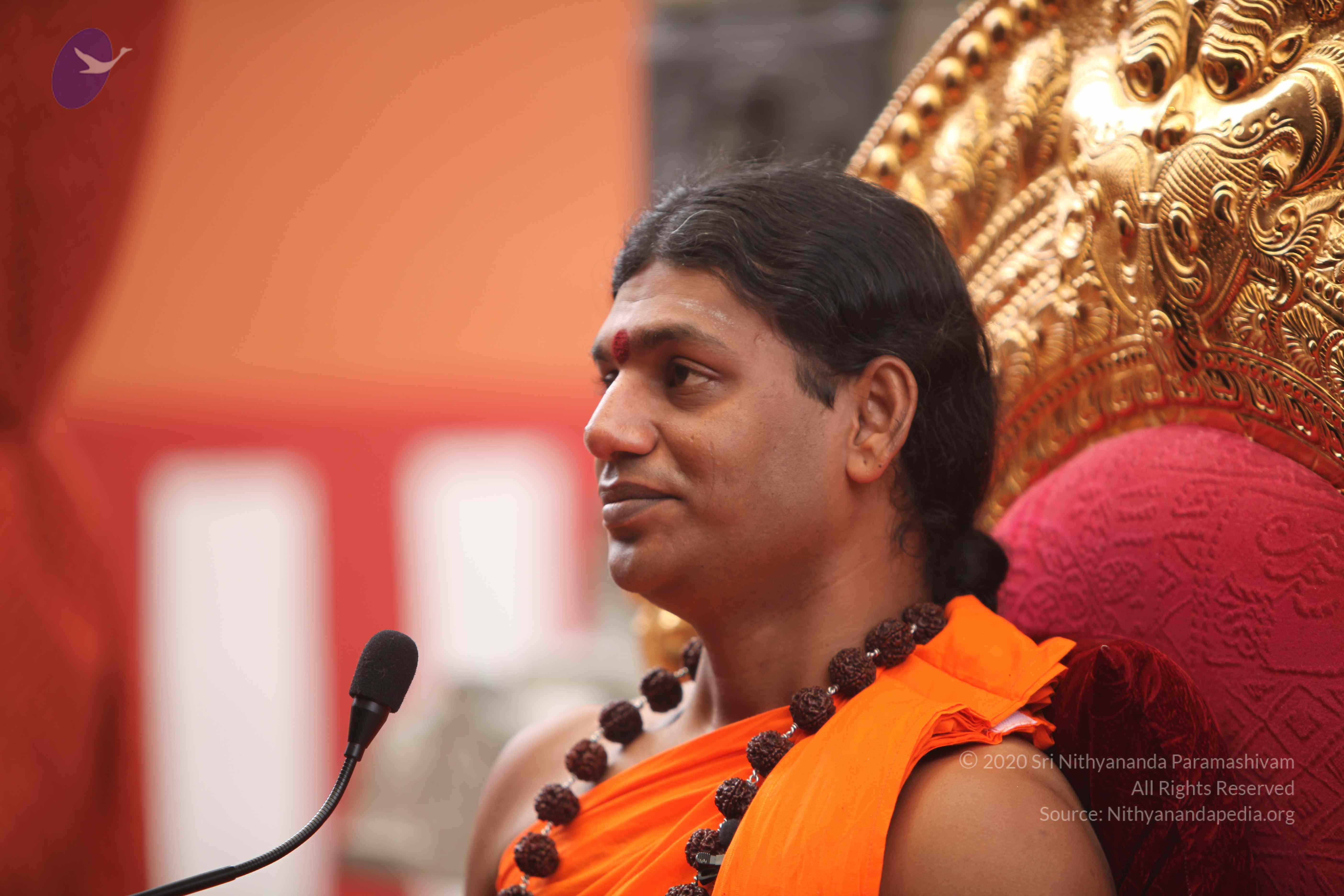 20101030_Photo_1056_IMG_7858_CMP_WM