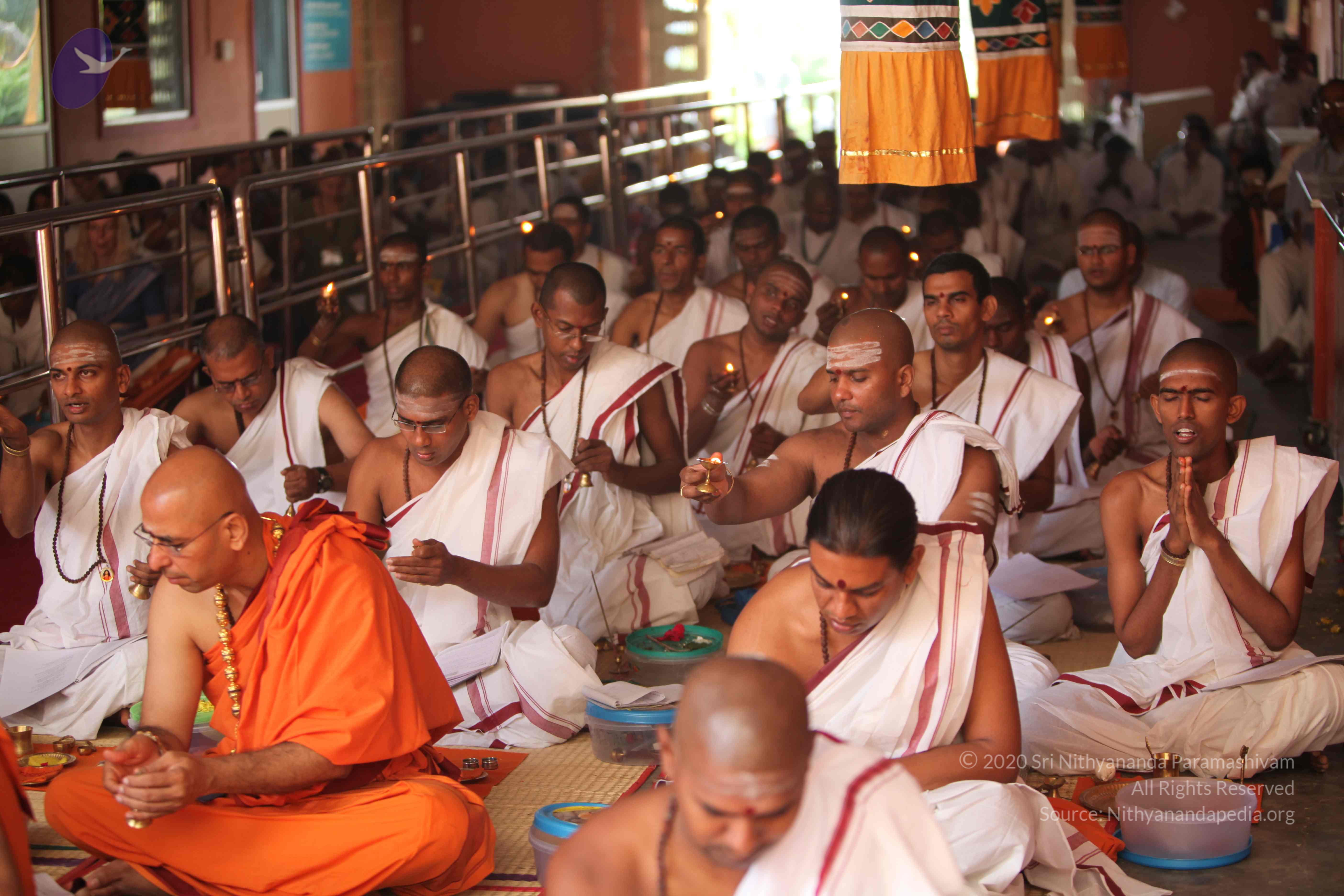 20101030_Photo_1057_IMG_7788_CMP_WM