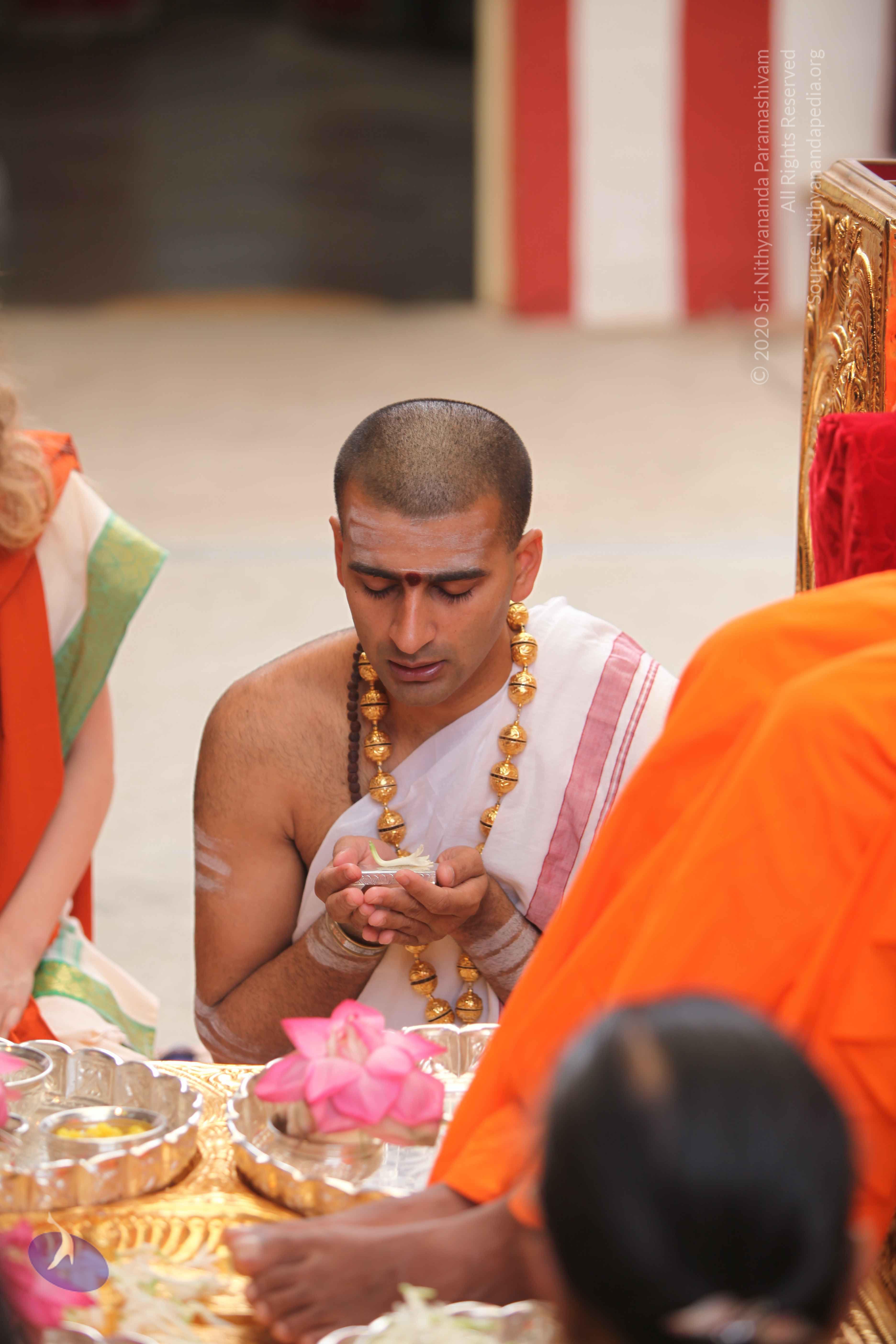 20101030_Photo_1059_IMG_7722_CMP_WM