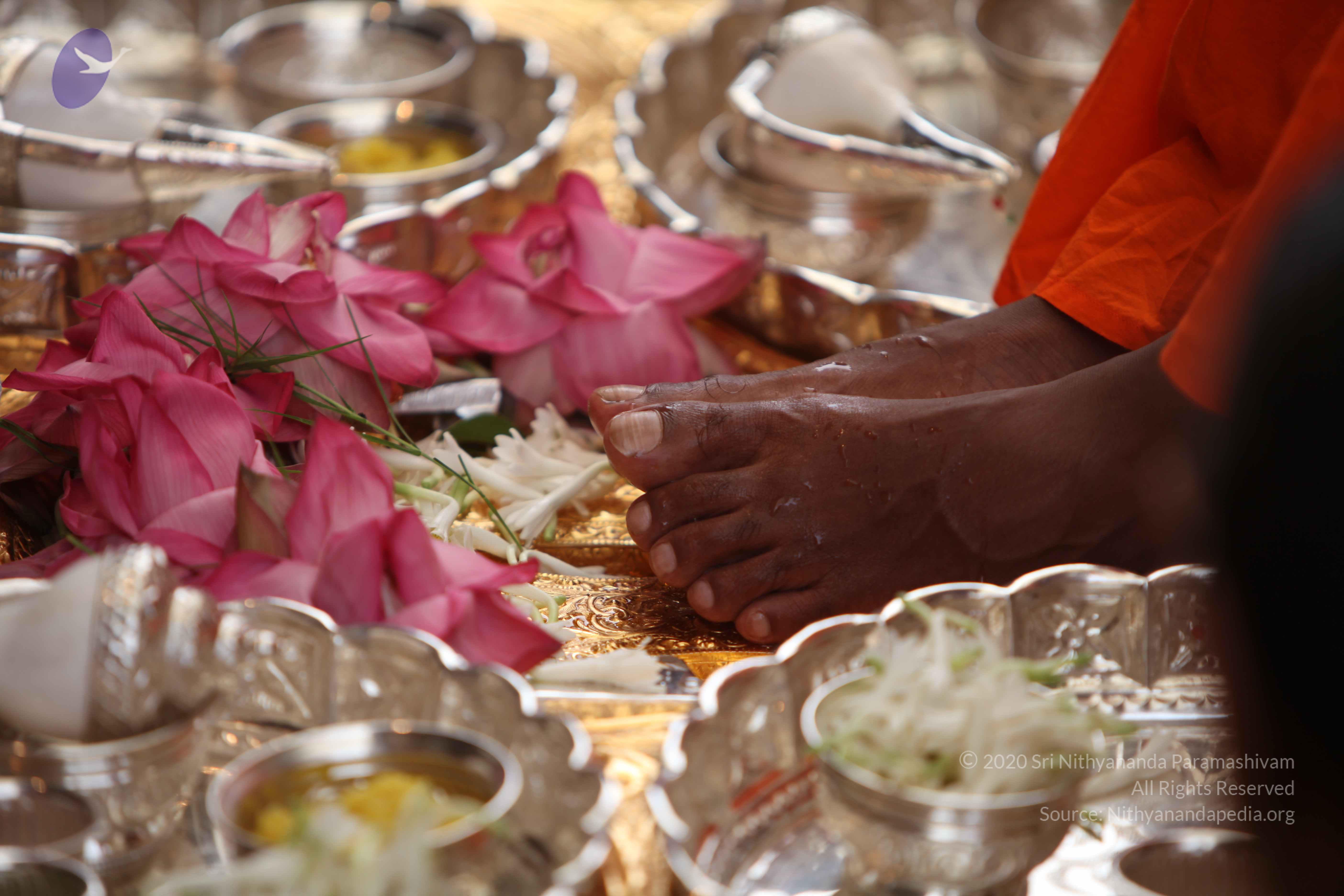 20101030_Photo_1061_IMG_7740_CMP_WM