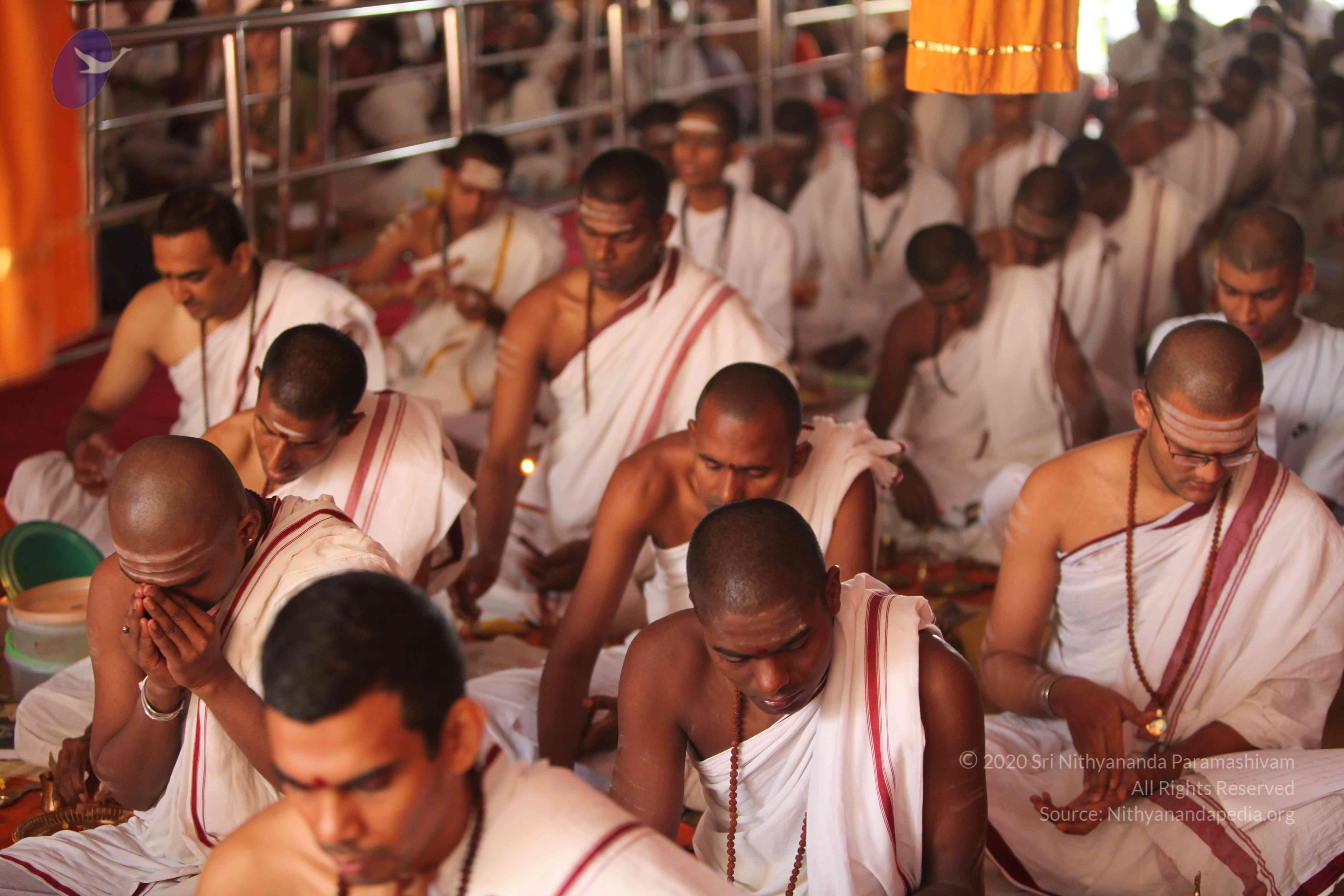 20101030_Photo_1063_IMG_7777_CMP_WM