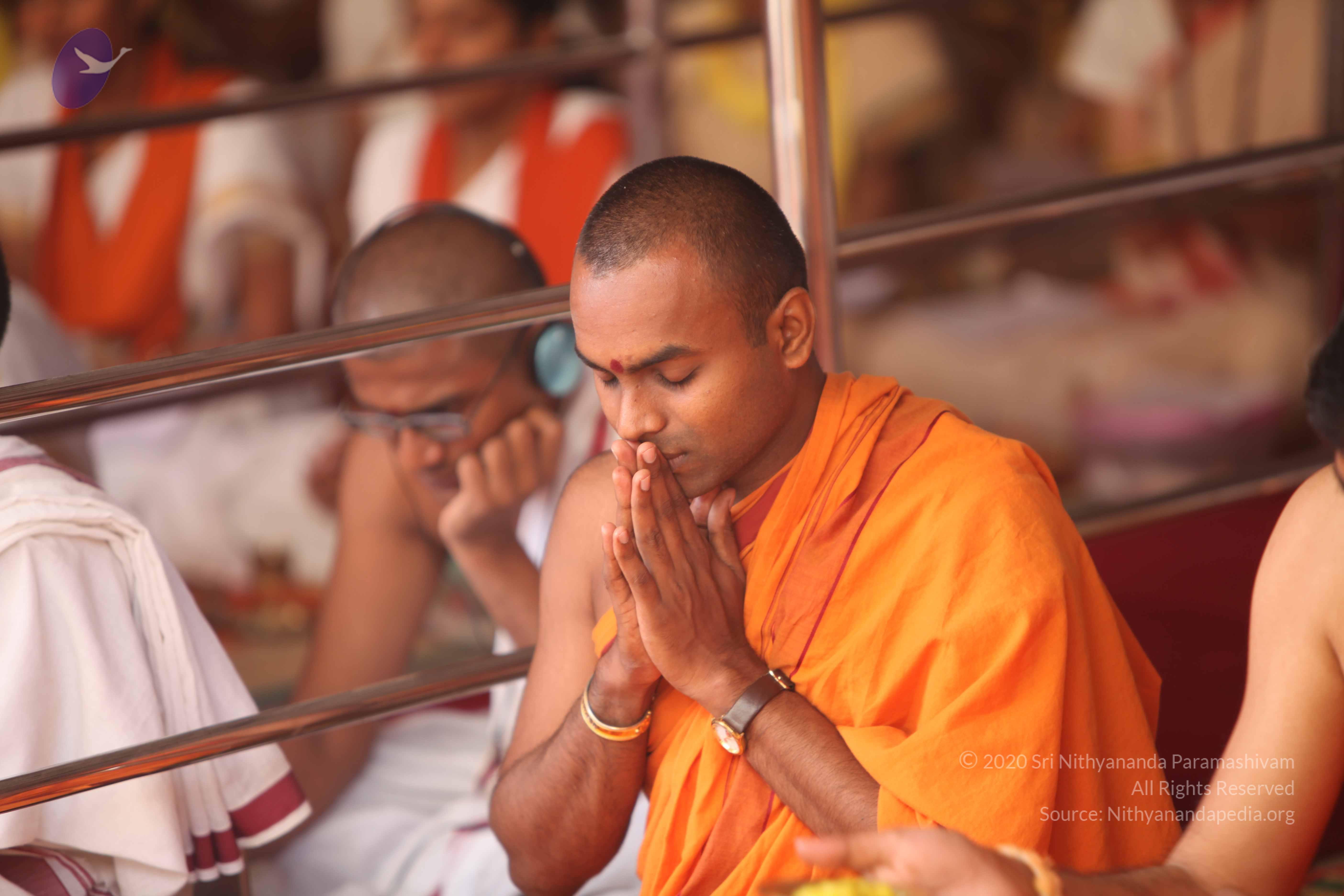 20101030_Photo_1067_IMG_7794_CMP_WM