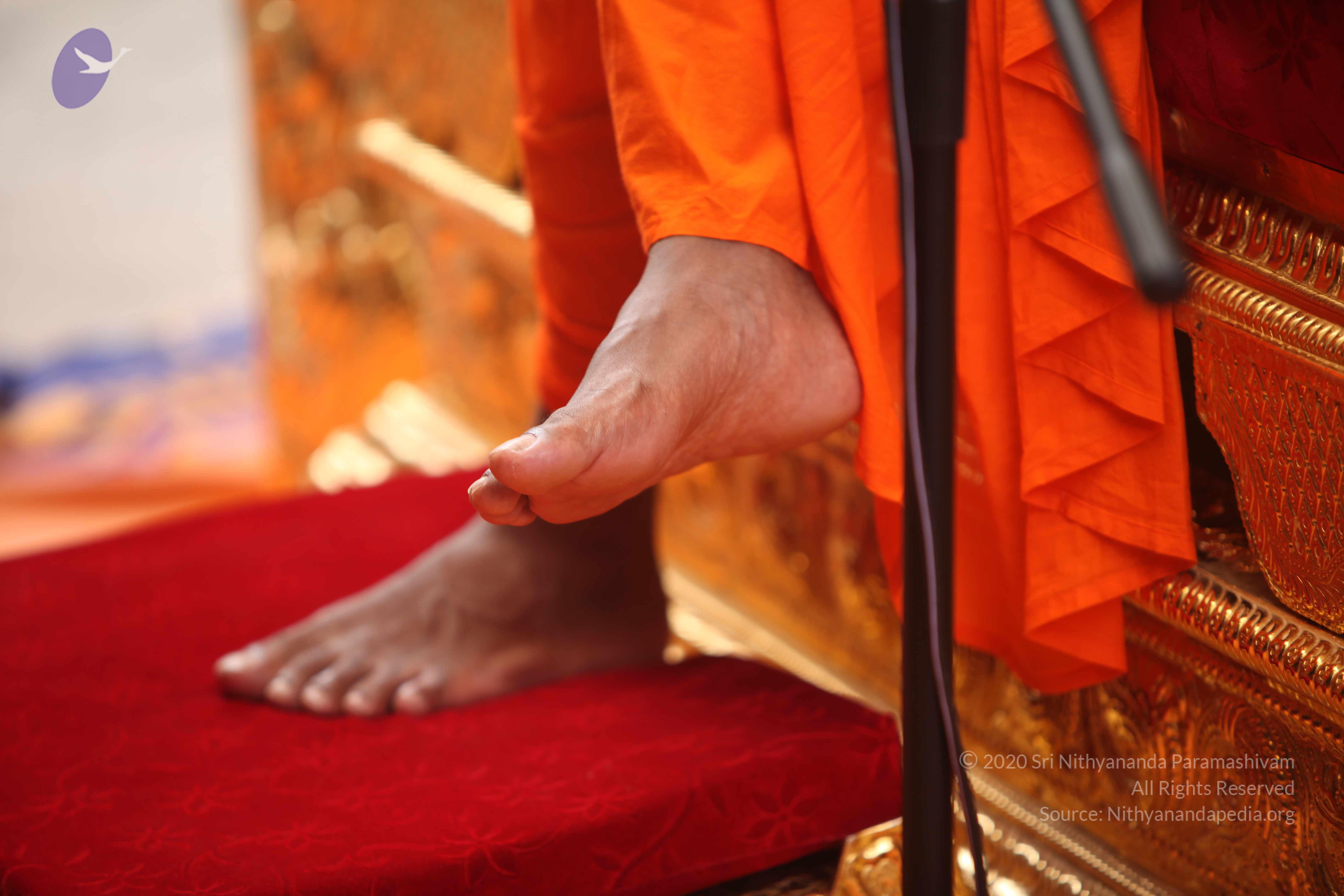 20101030_Photo_1068_IMG_7844_CMP_WM