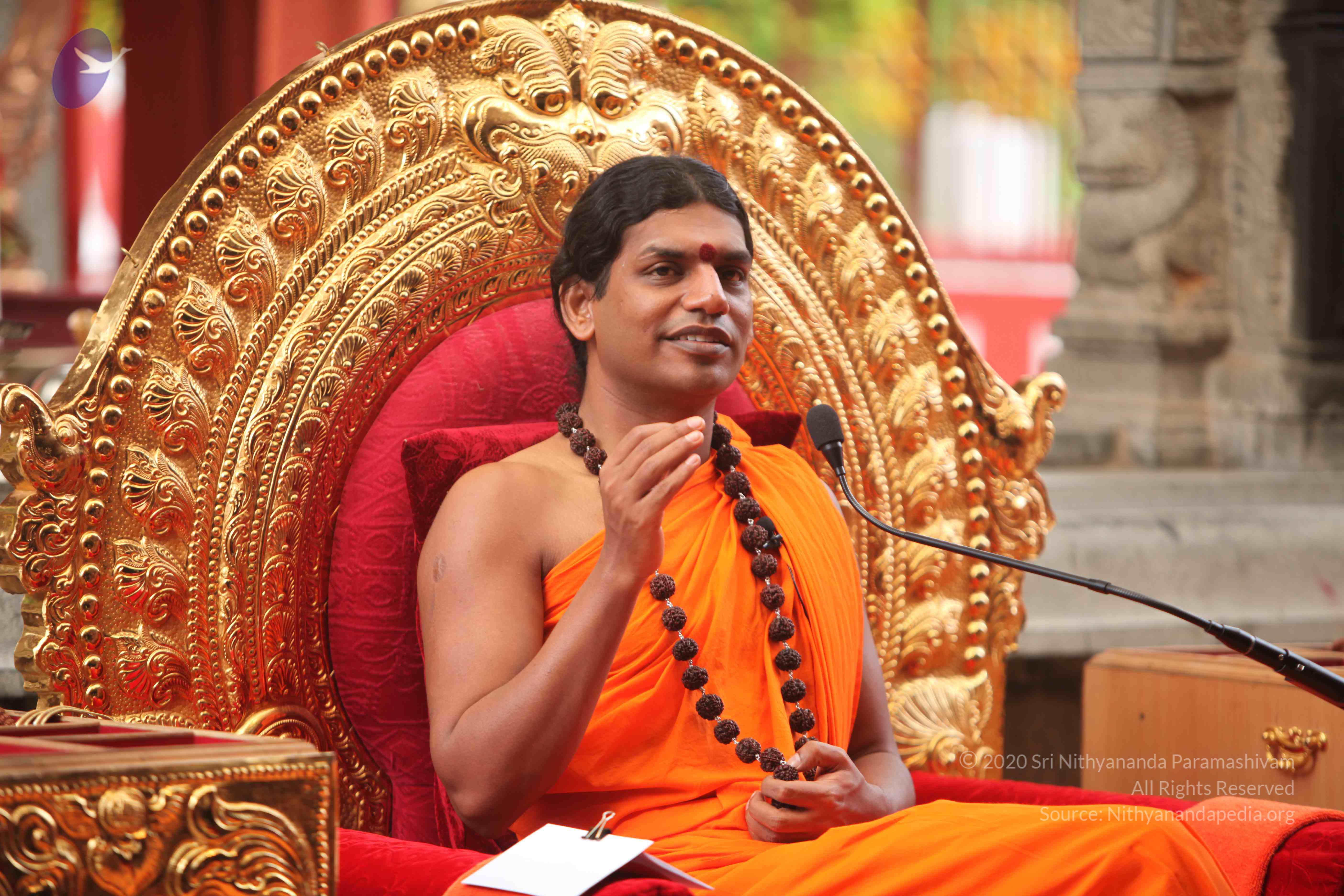 20101030_Photo_1070_IMG_7873_CMP_WM