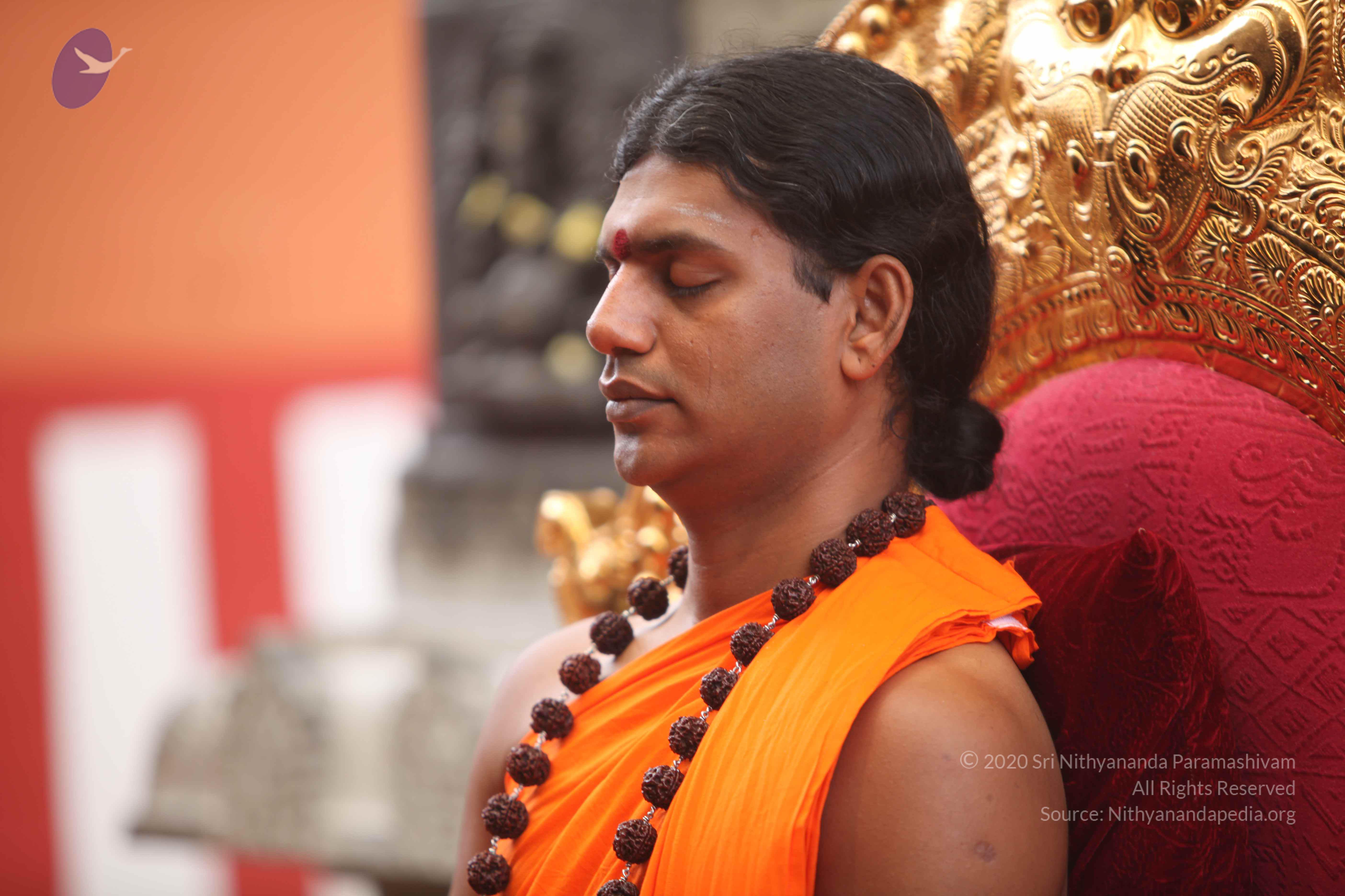 20101030_Photo_1074_IMG_7709_CMP_WM