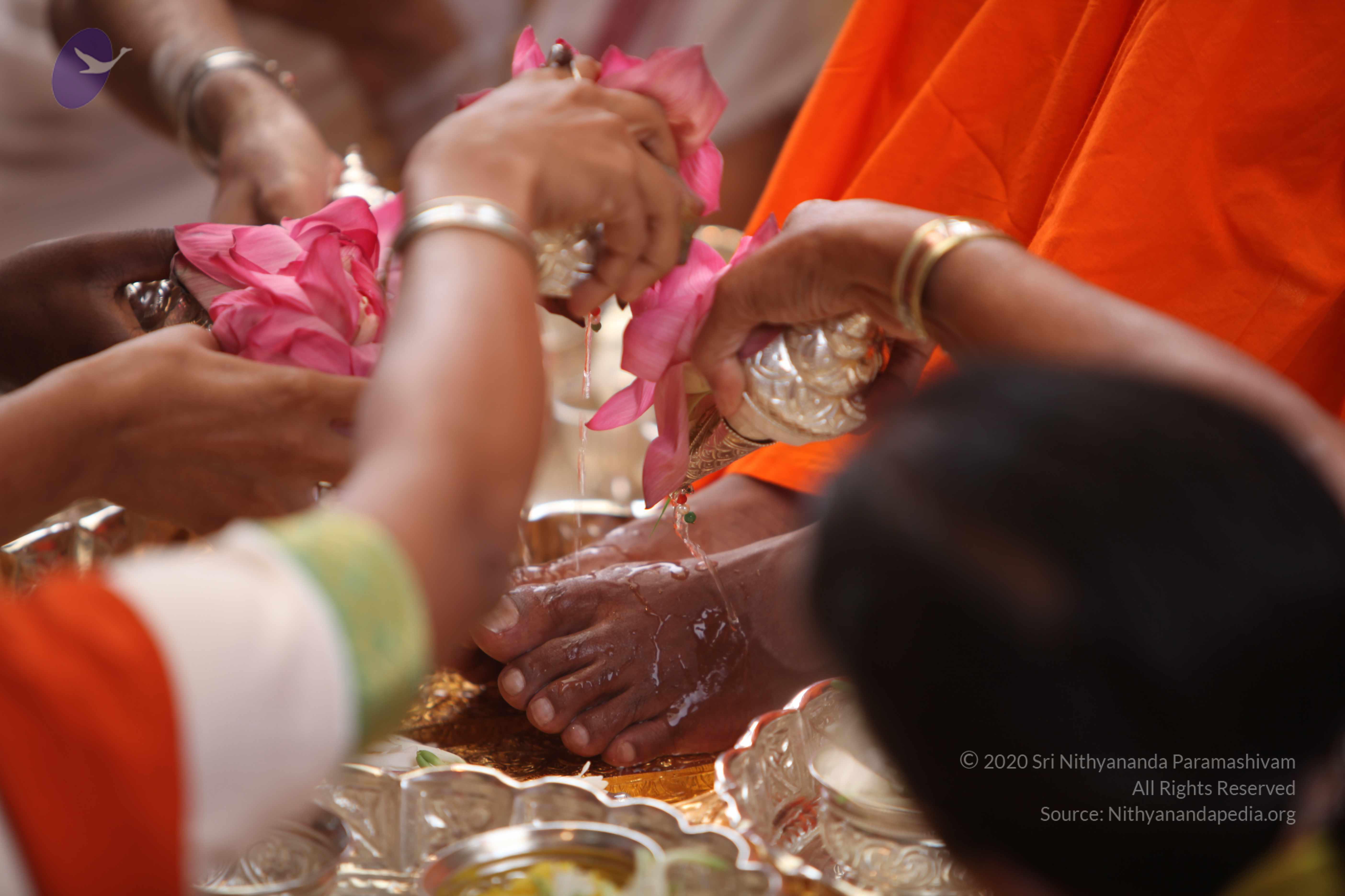 20101030_Photo_1075_IMG_7739_CMP_WM