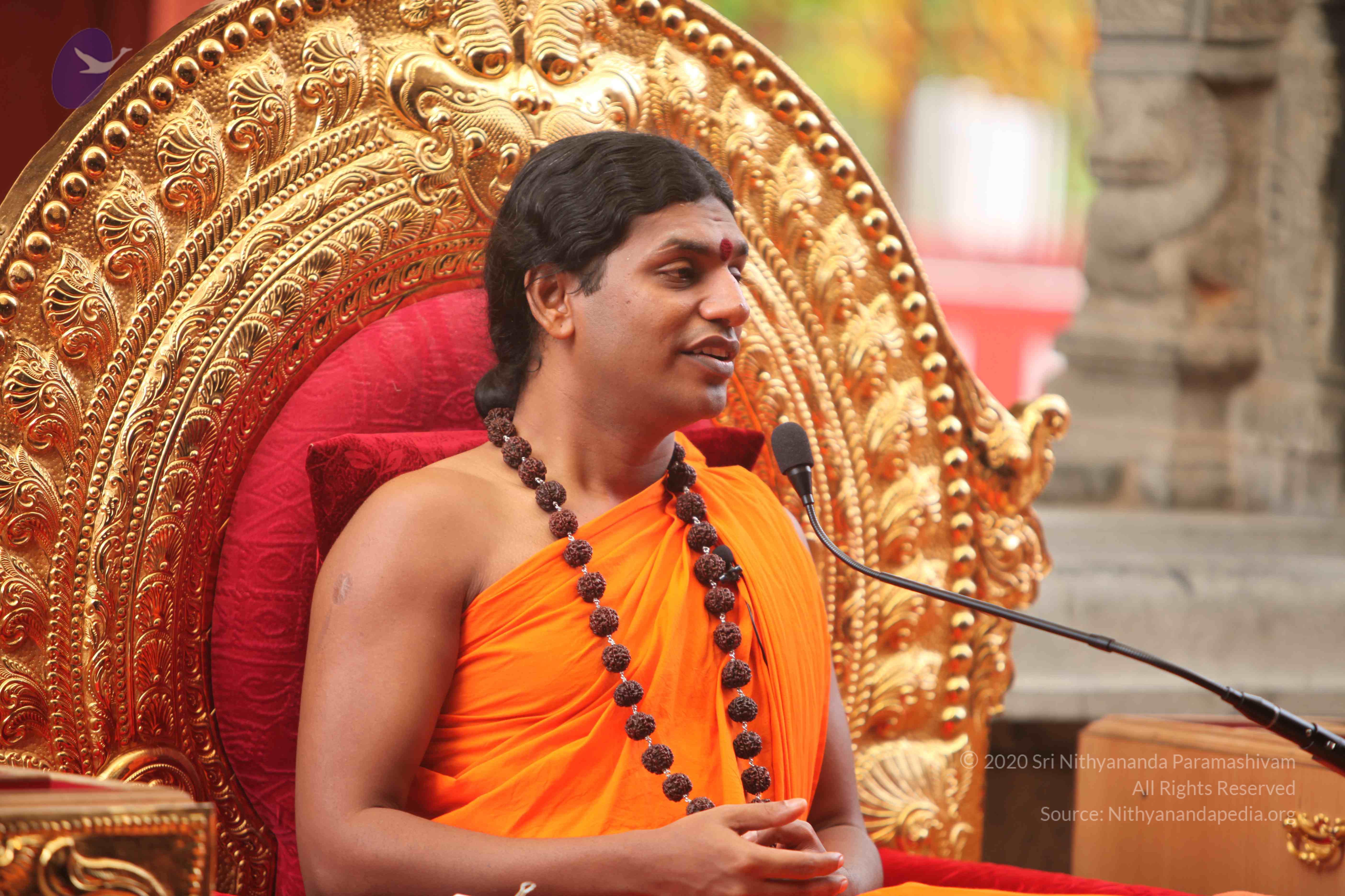 20101030_Photo_1077_IMG_7874_CMP_WM