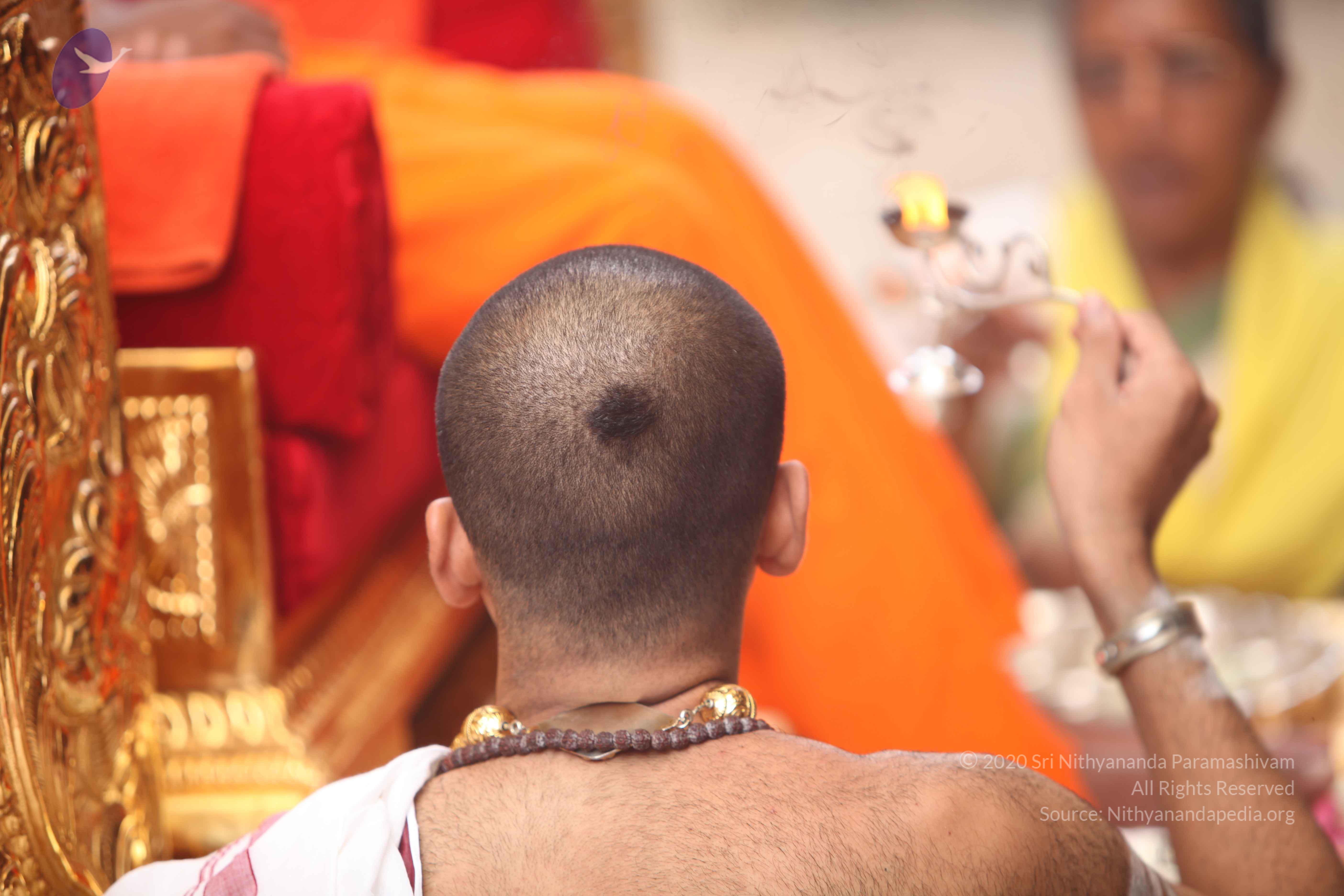 20101030_Photo_1082_IMG_7821_CMP_WM