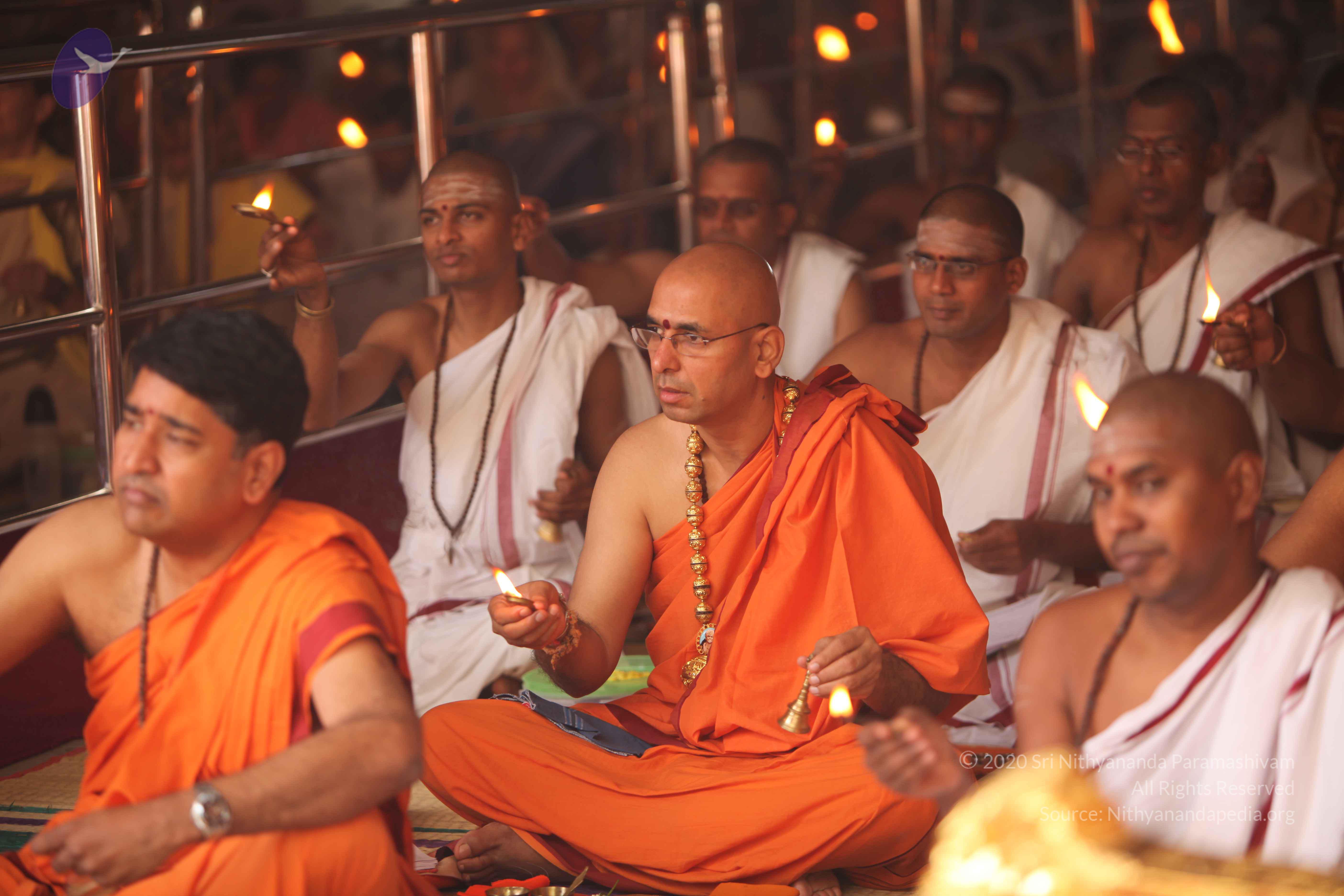 20101030_Photo_1083_IMG_7816_CMP_WM