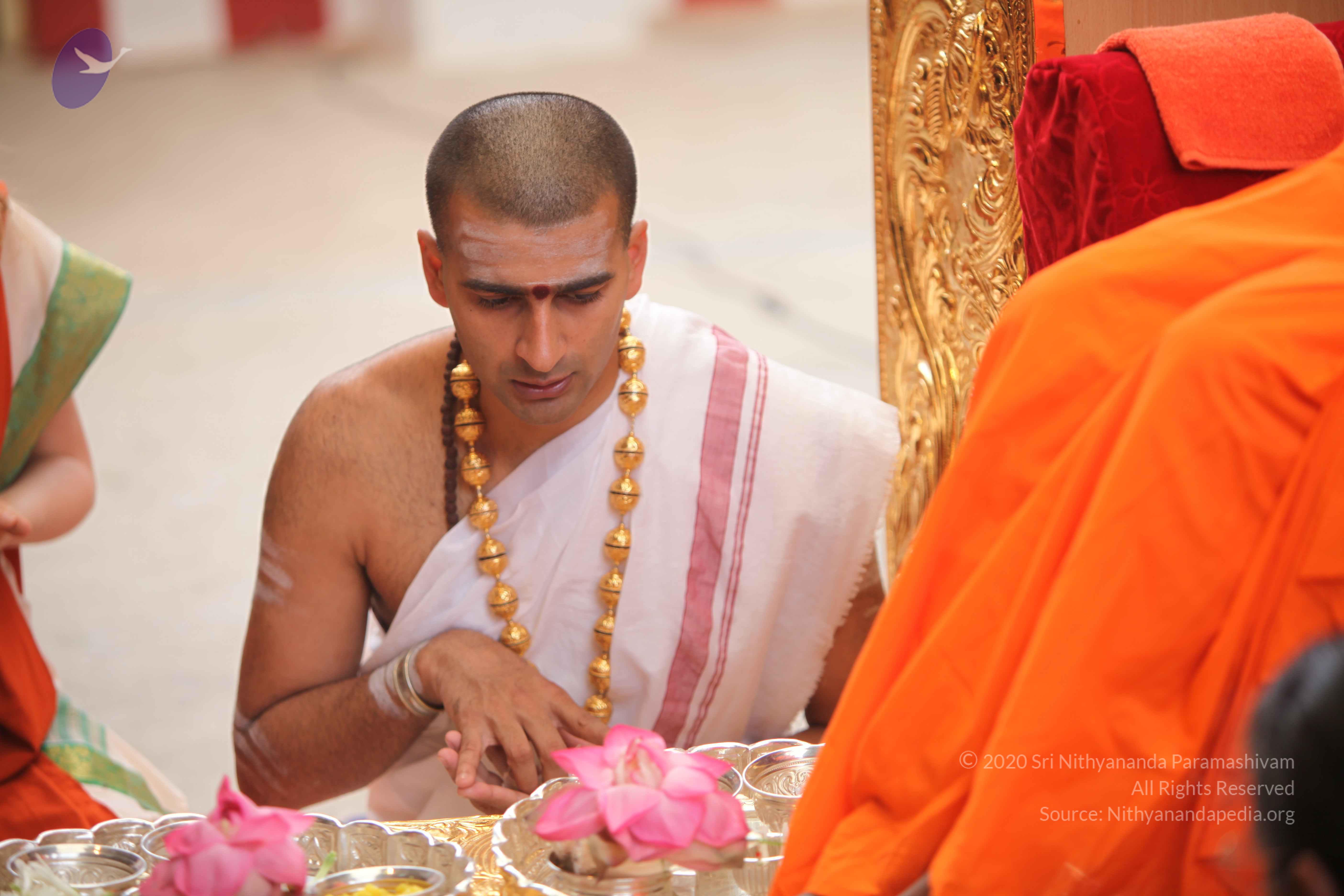 20101030_Photo_1087_IMG_7712_CMP_WM