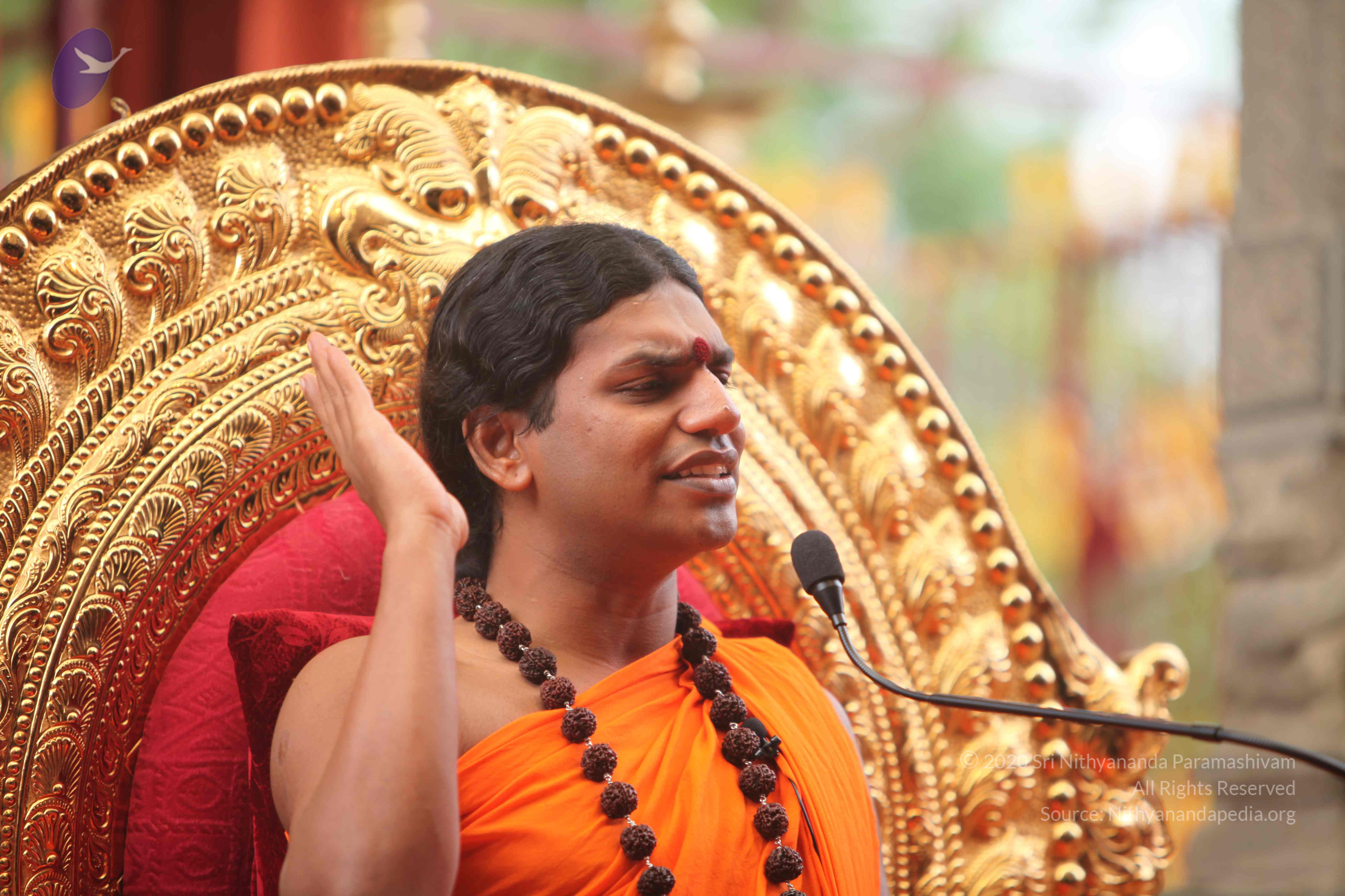 20101030_Photo_1088_IMG_7897_CMP_WM