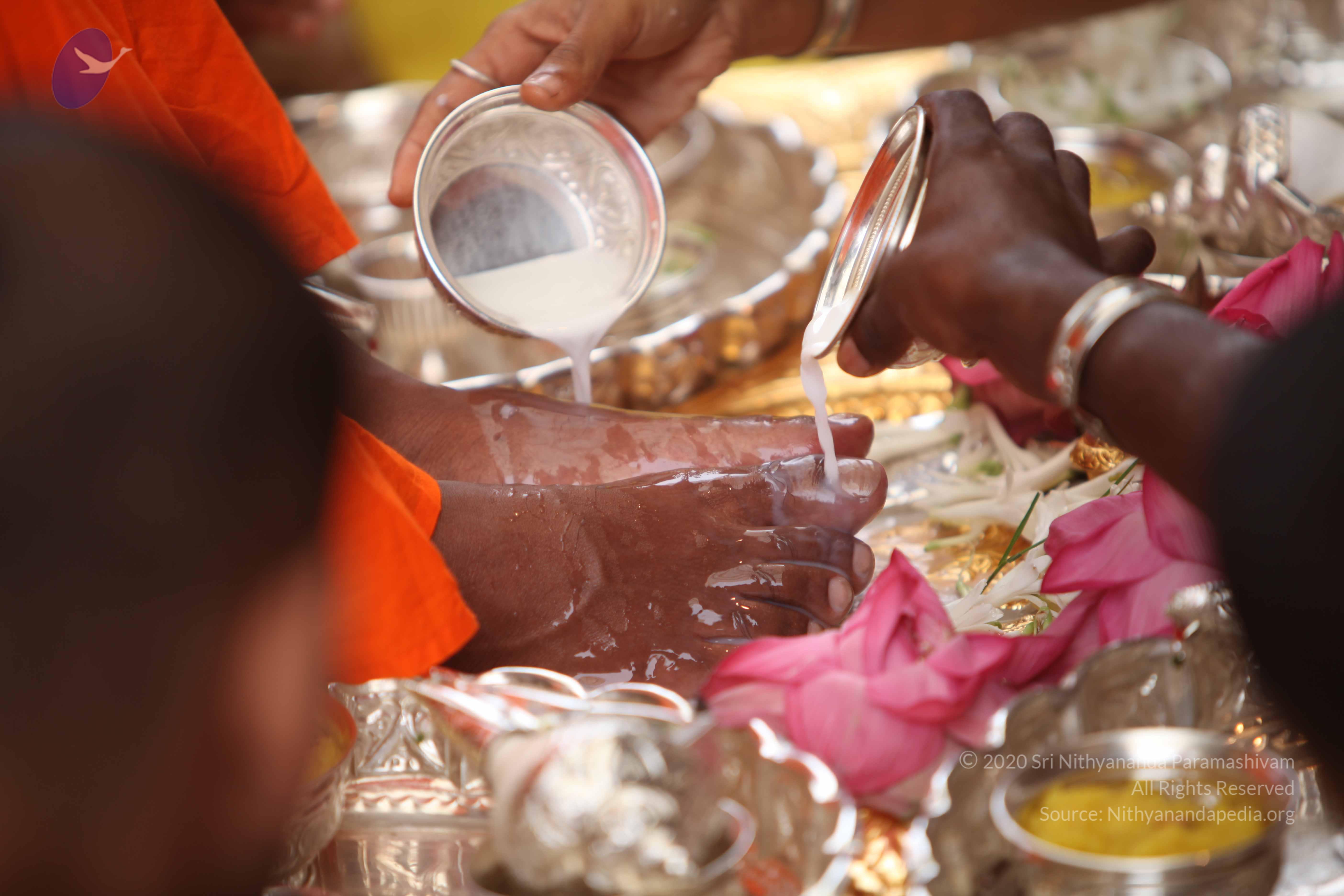 20101030_Photo_1090_IMG_7770_CMP_WM