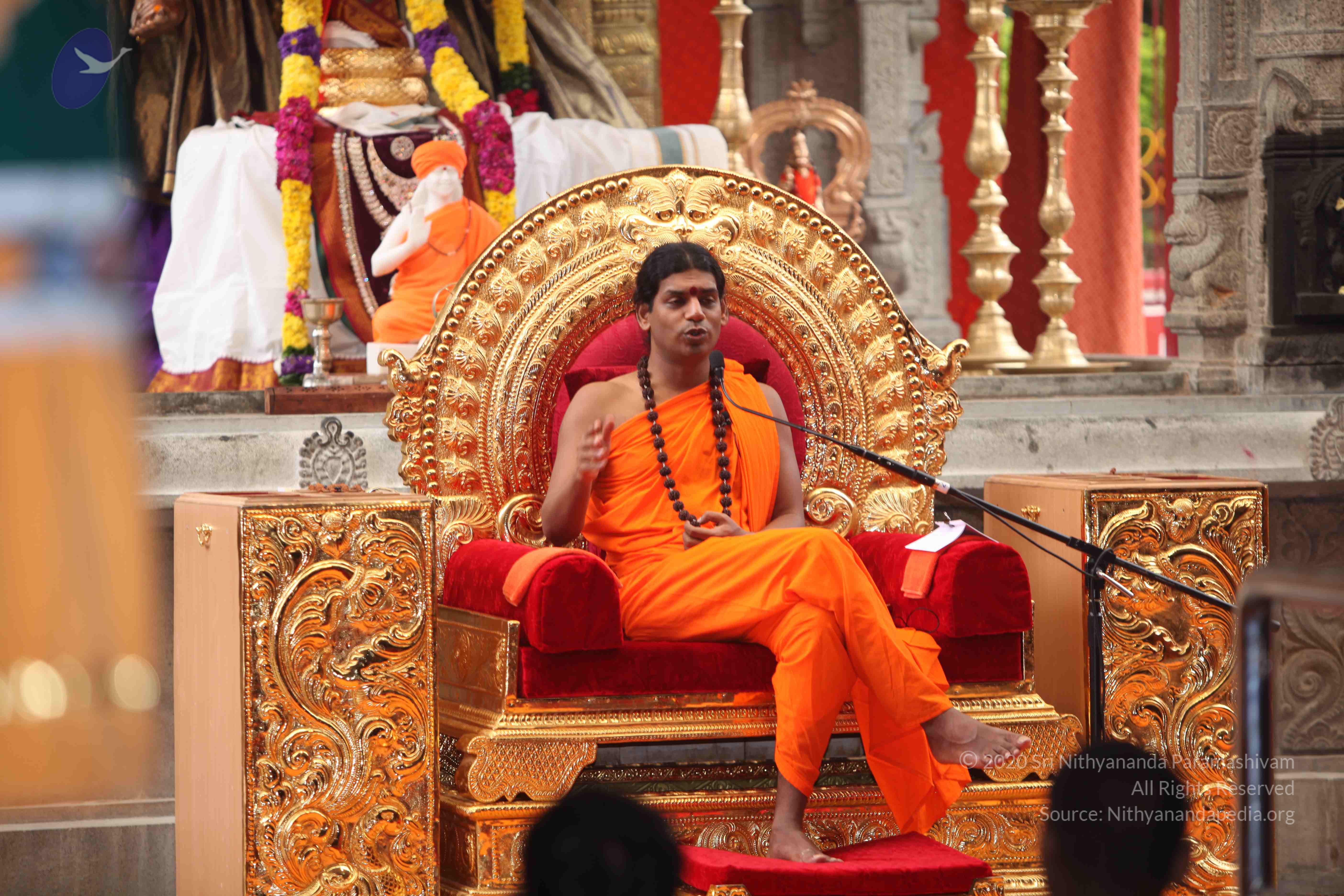 20101030_Photo_1093_IMG_7929_CMP_WM