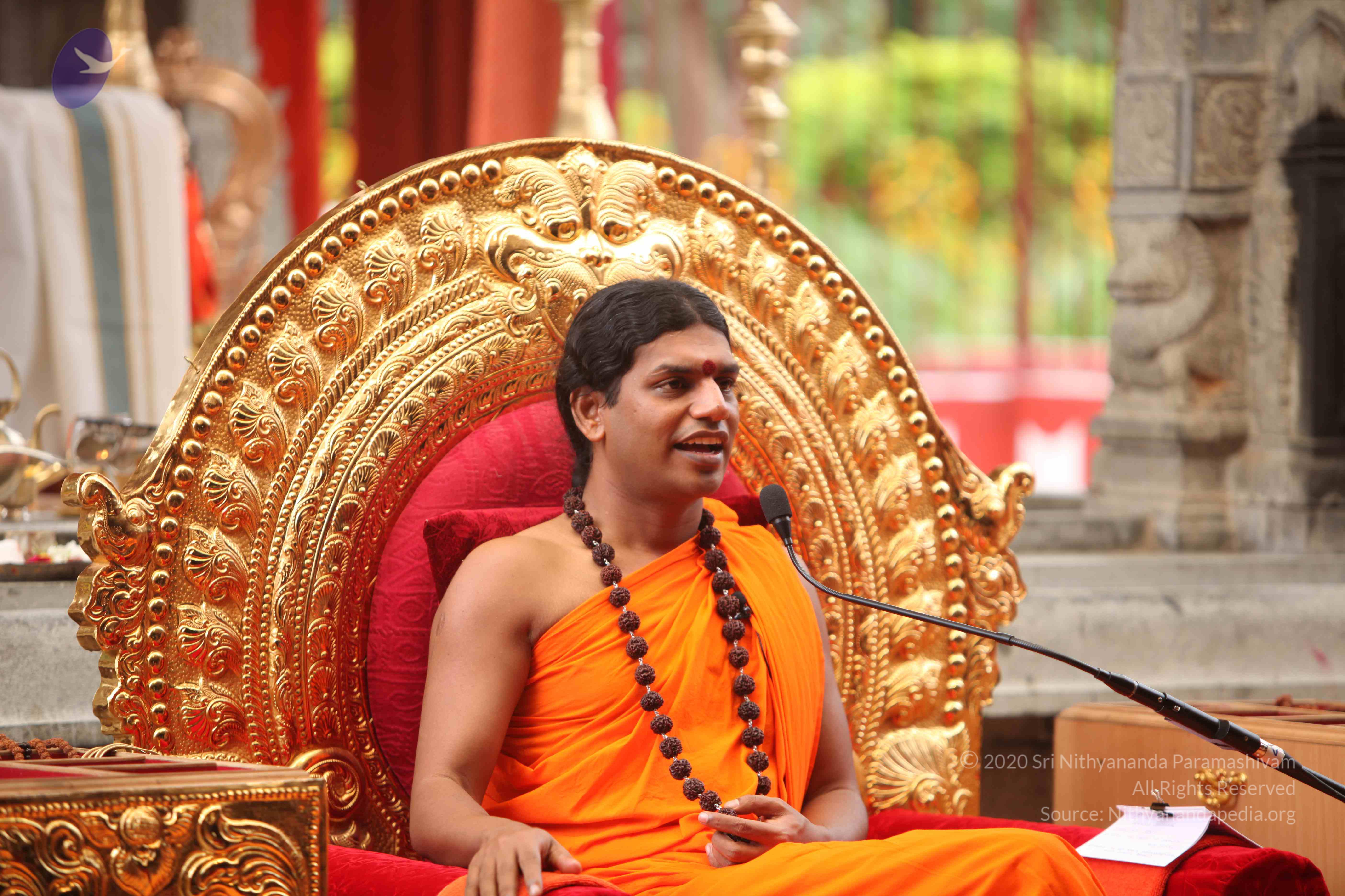 20101030_Photo_1094_IMG_7938_CMP_WM