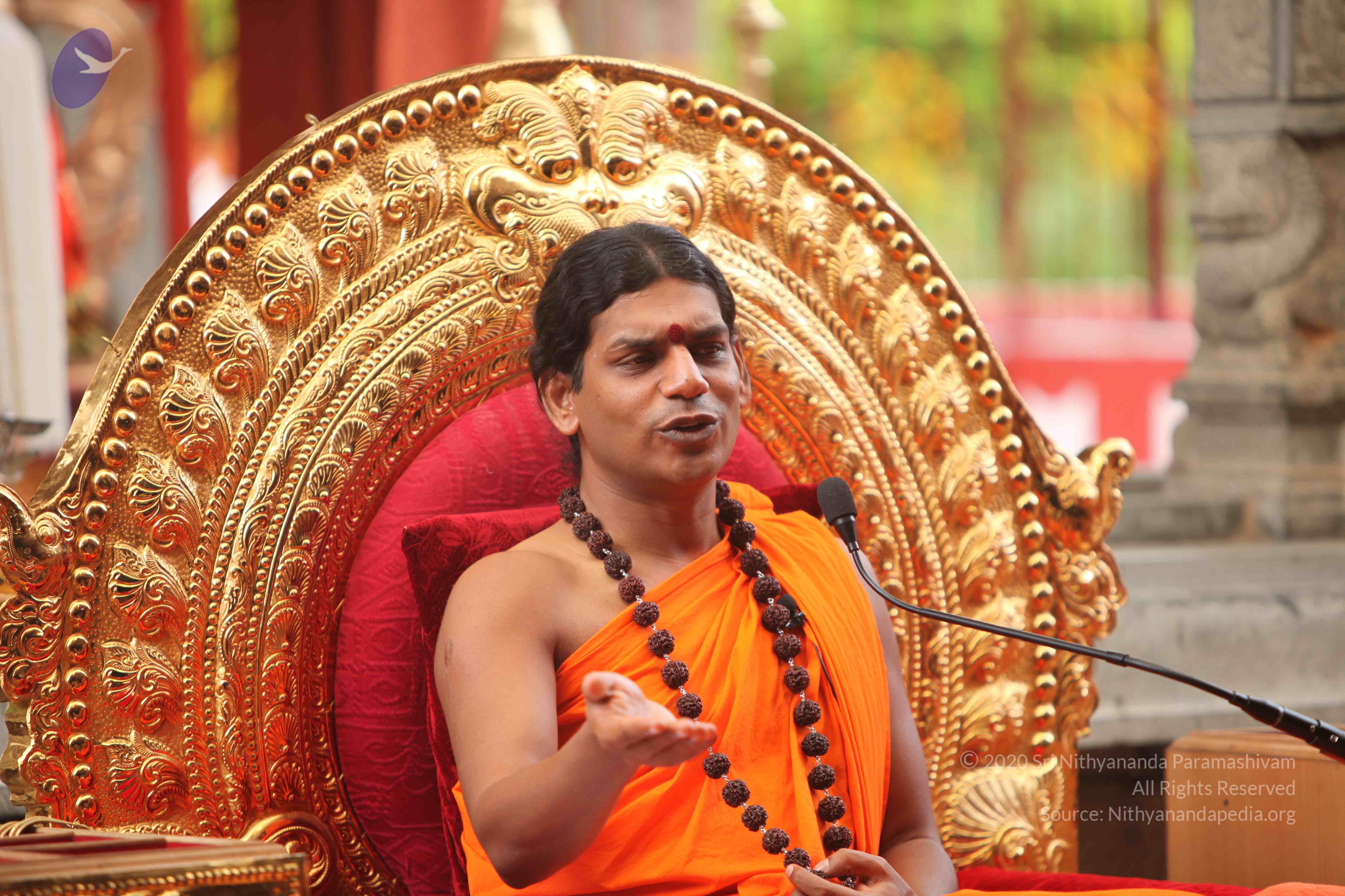 20101030_Photo_1095_IMG_7879_CMP_WM