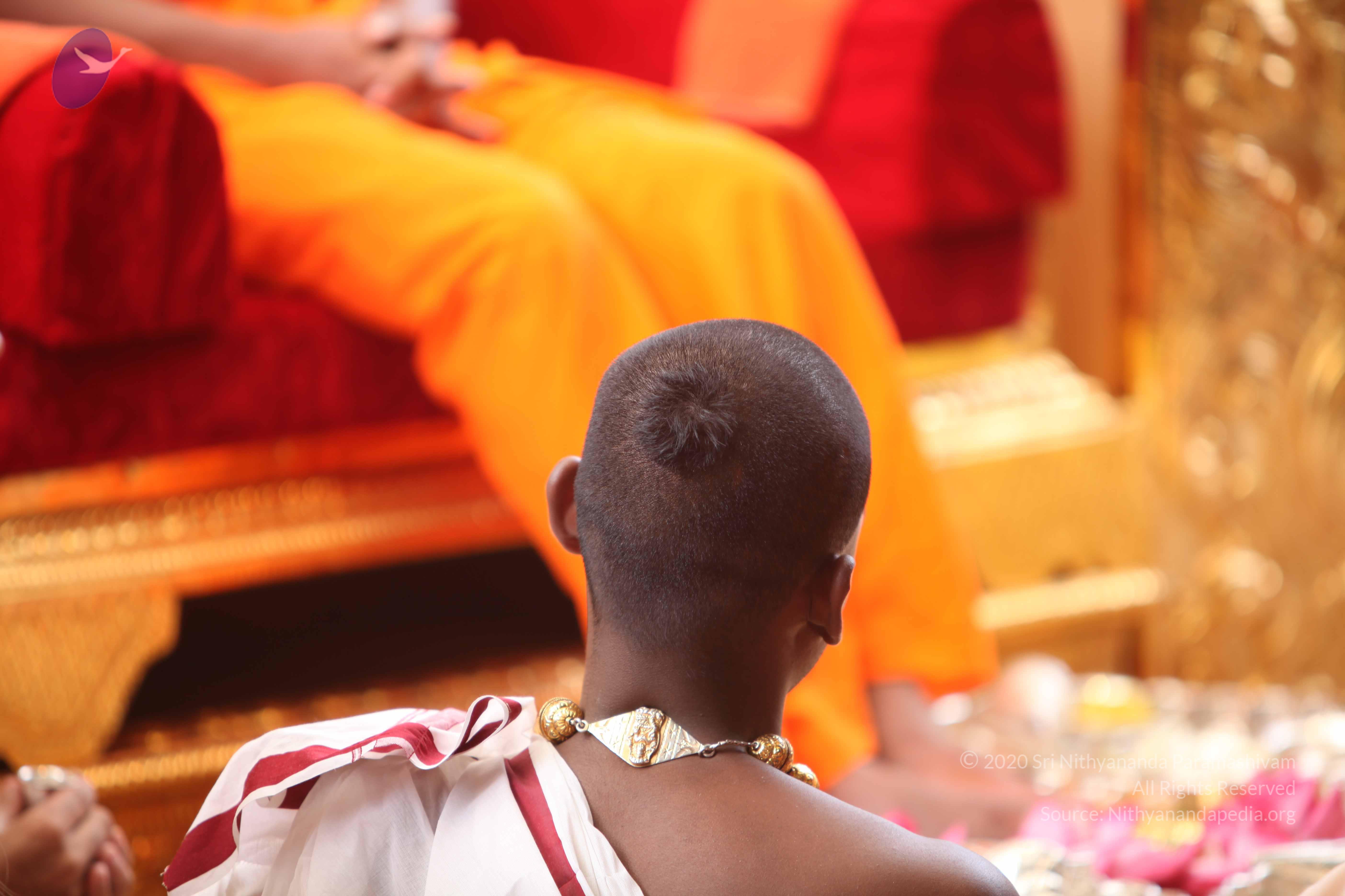 20101030_Photo_1096_IMG_7761_CMP_WM