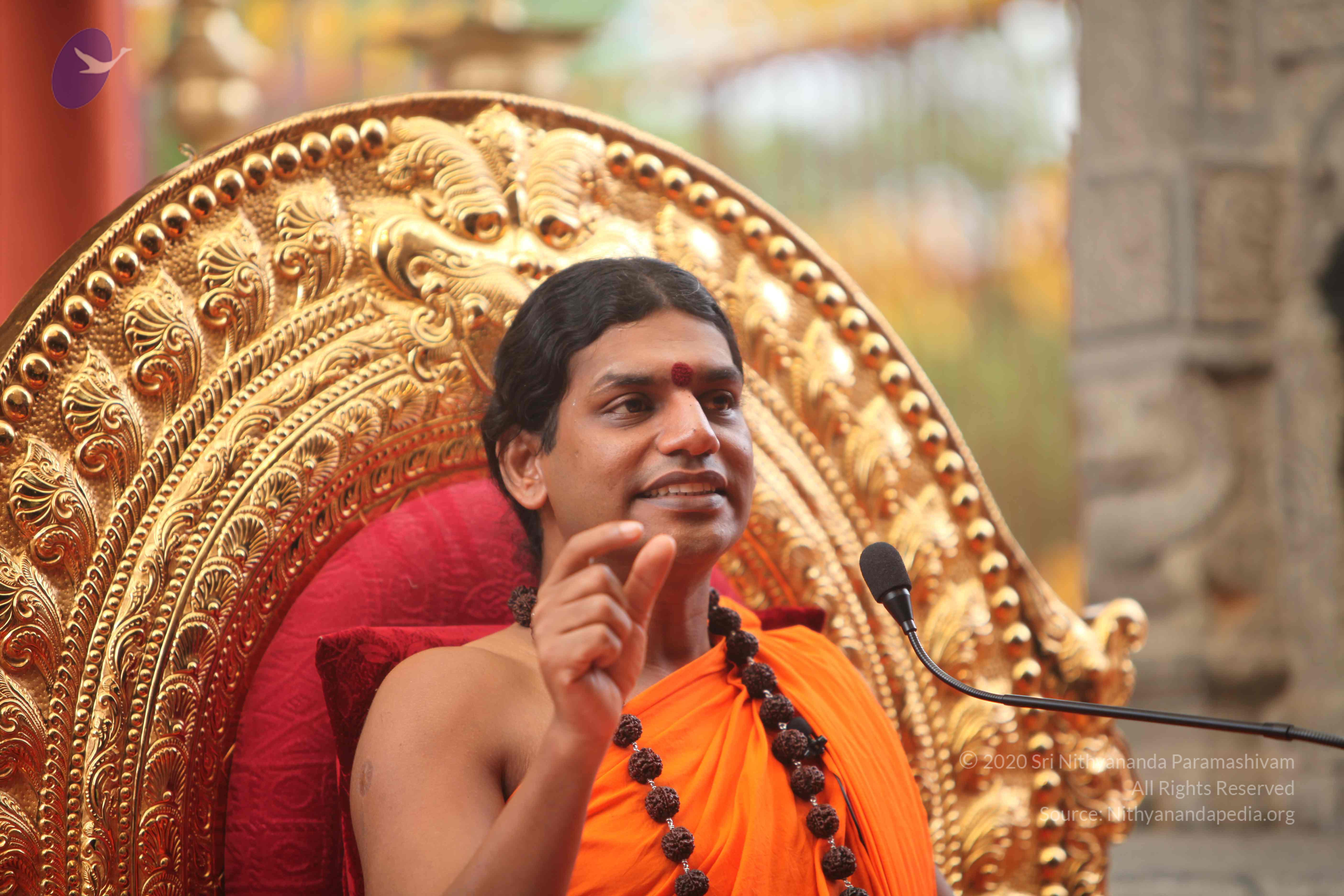 20101030_Photo_1098_IMG_7886_CMP_WM