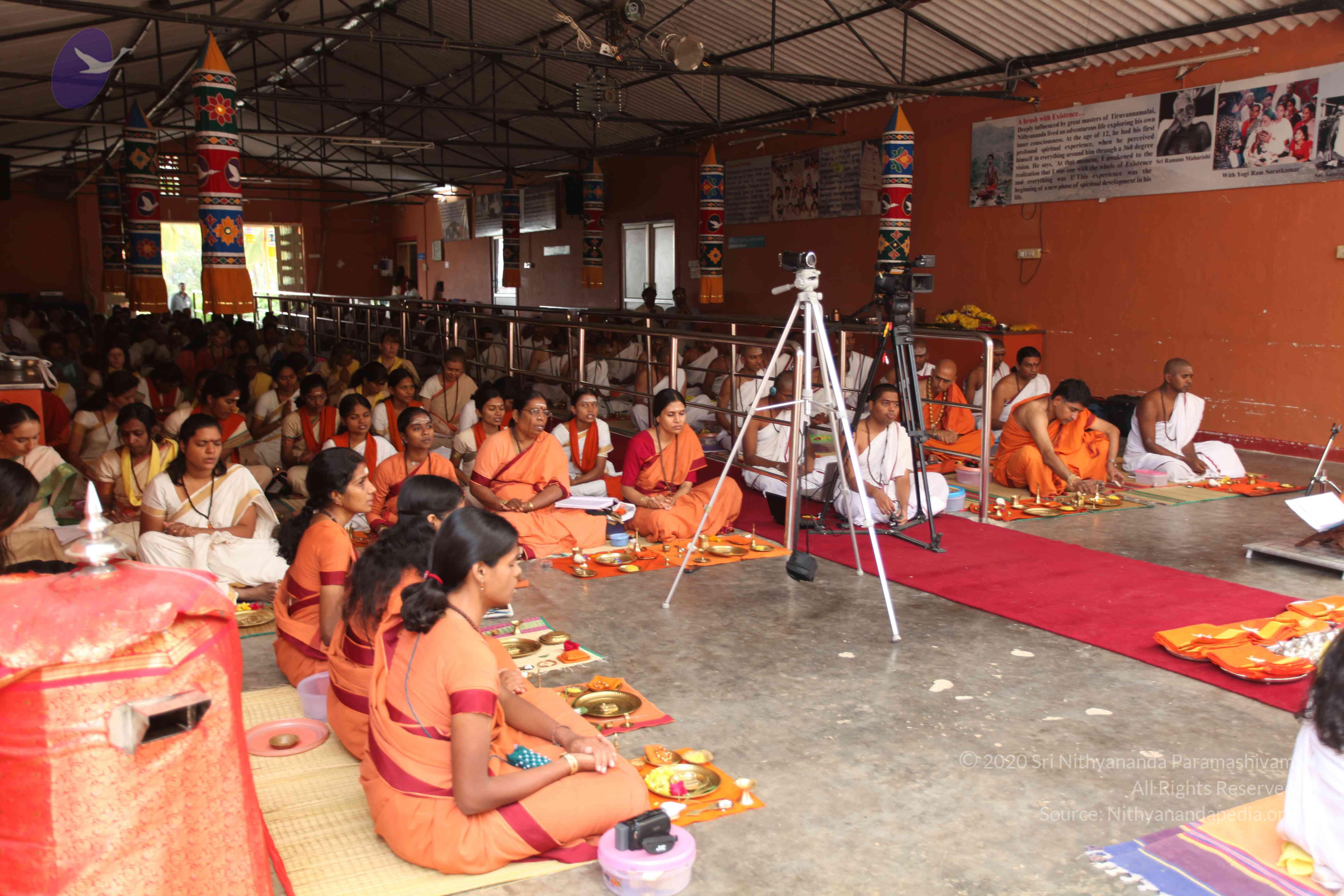 20101030_Photo_1099_IMG_7703_CMP_WM