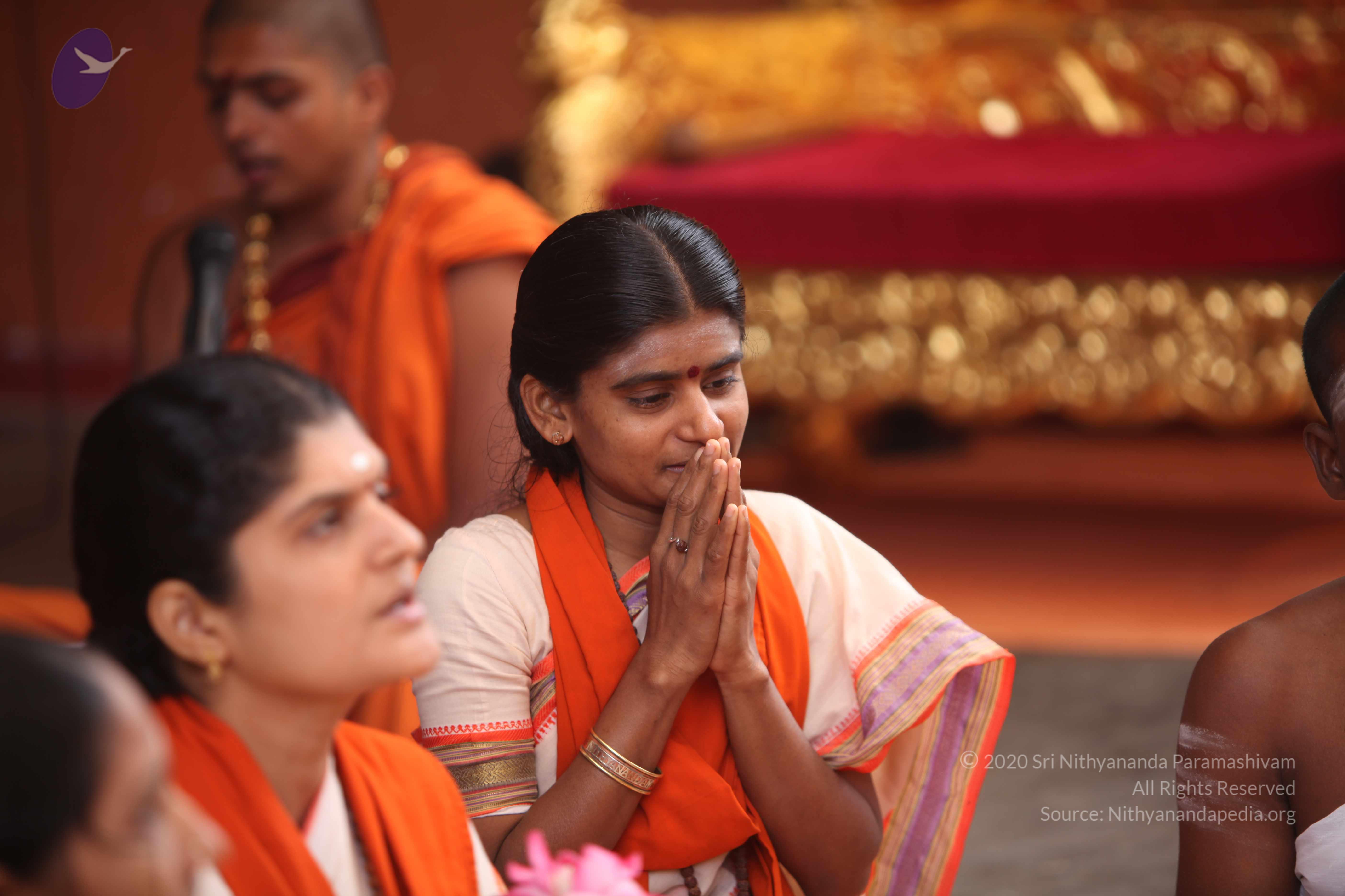 20101030_Photo_1100_IMG_7734_CMP_WM