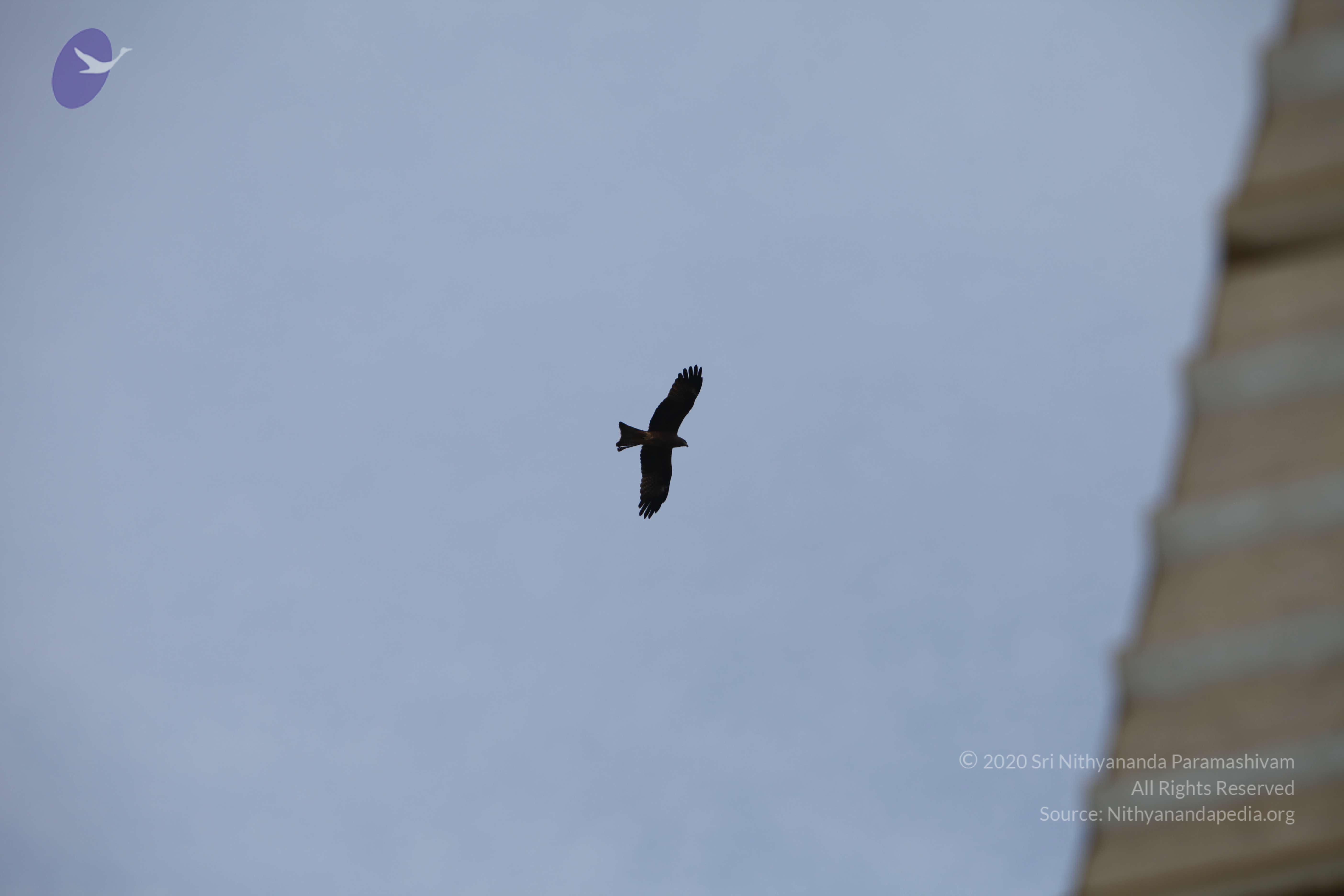 20101030_Photo_1102_IMG_7807_CMP_WM