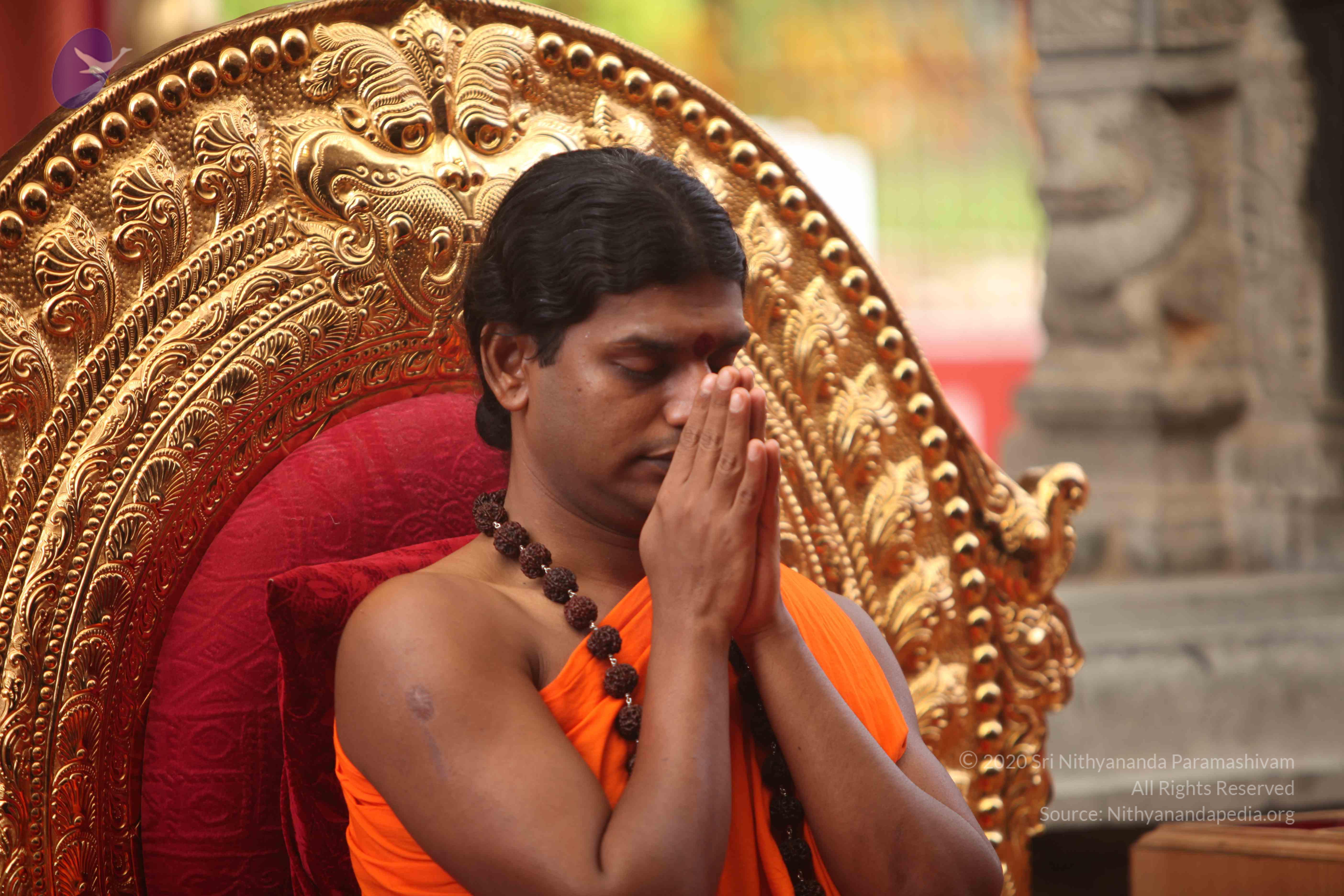 20101030_Photo_1103_IMG_7830_CMP_WM