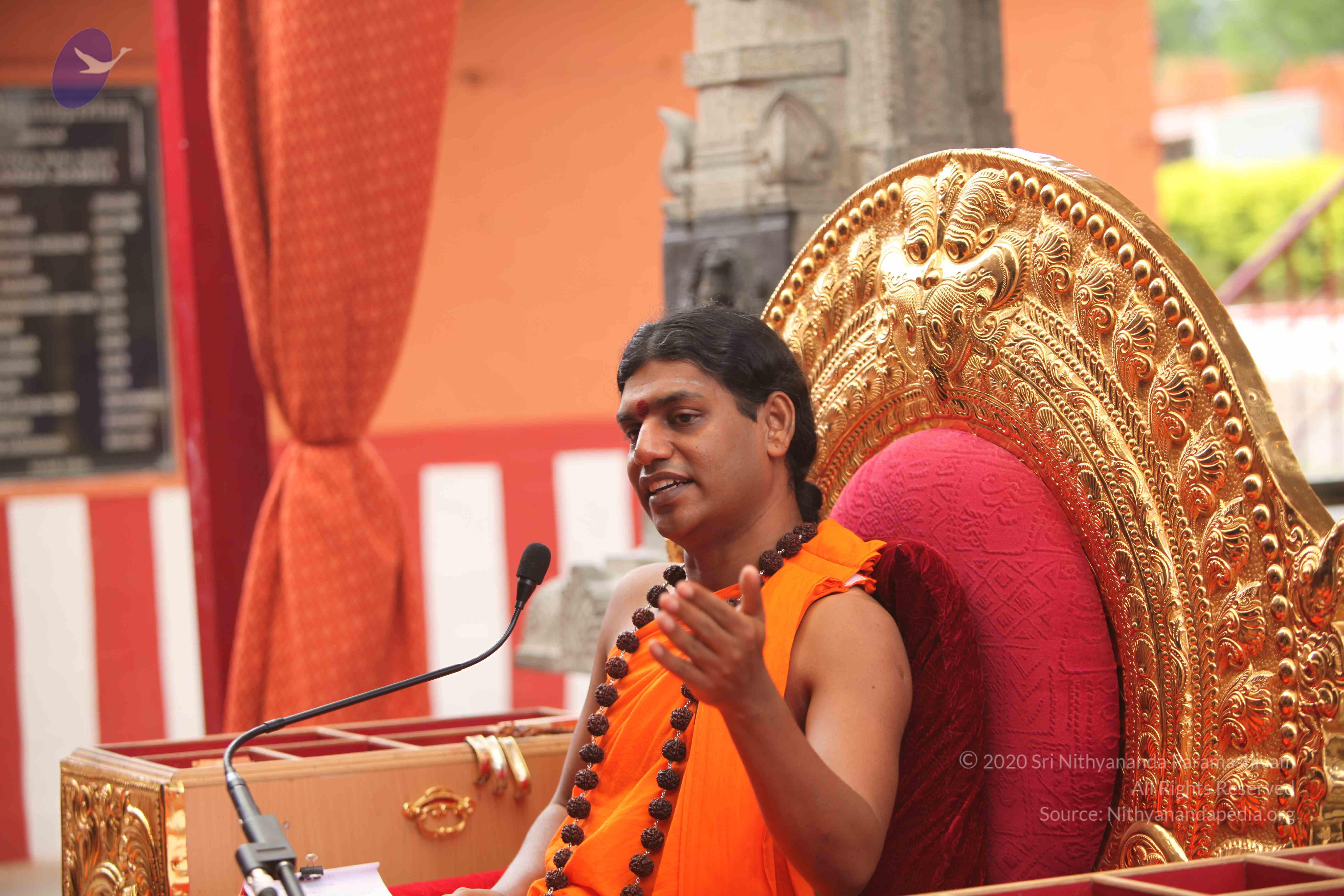 20101030_Photo_1106_IMG_7865_CMP_WM