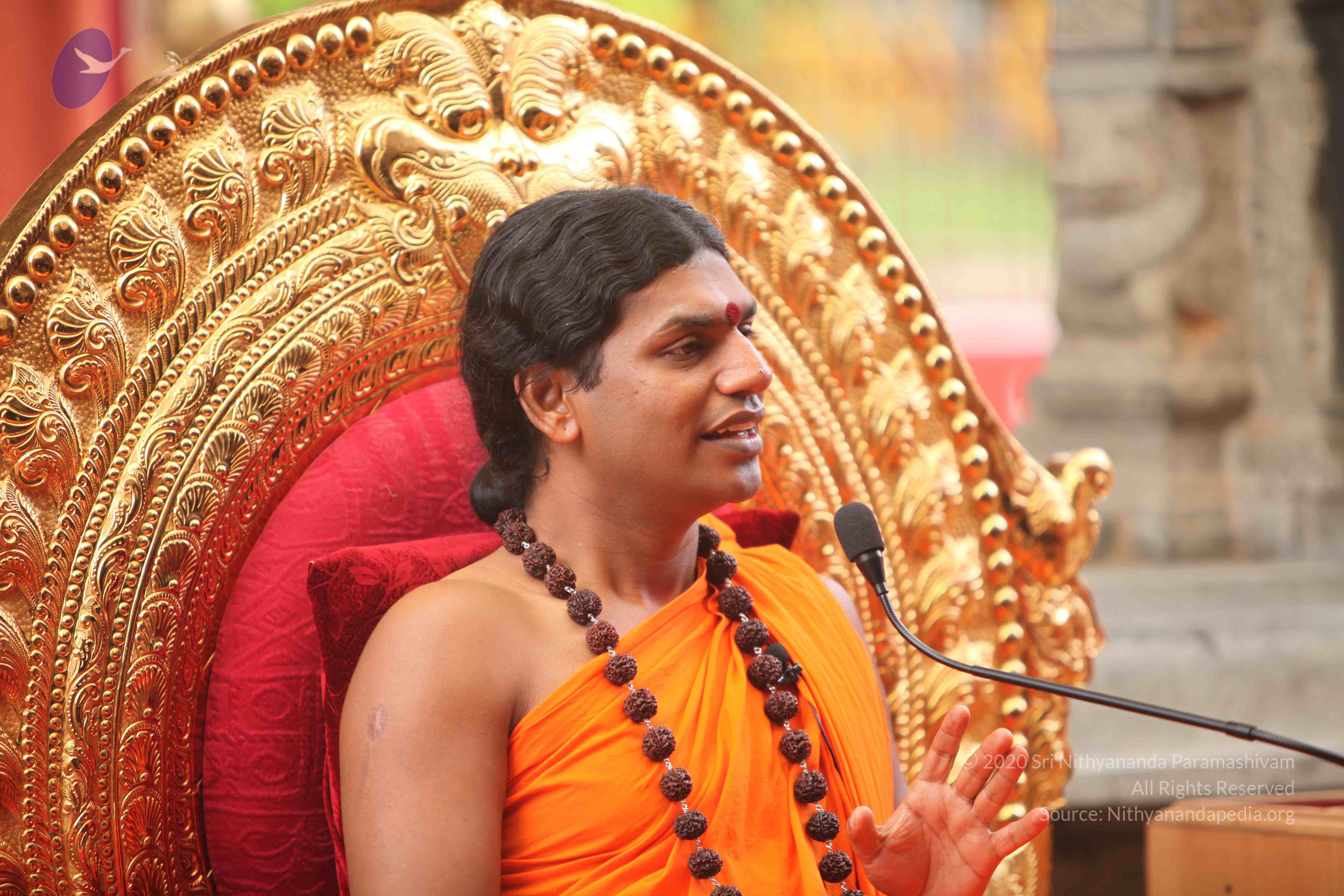 20101030_Photo_1110_IMG_7883_CMP_WM