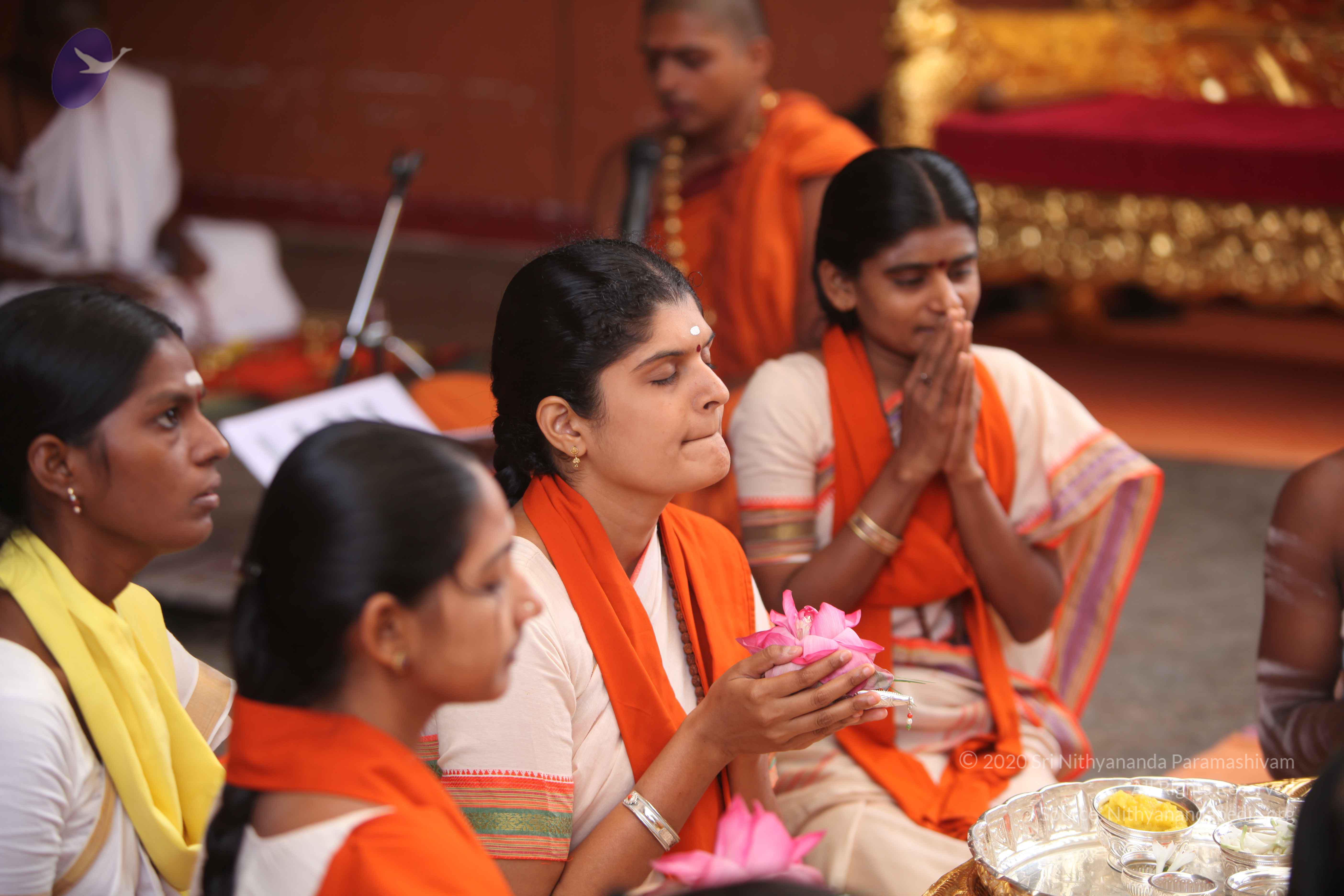 20101030_Photo_1112_IMG_7731_CMP_WM