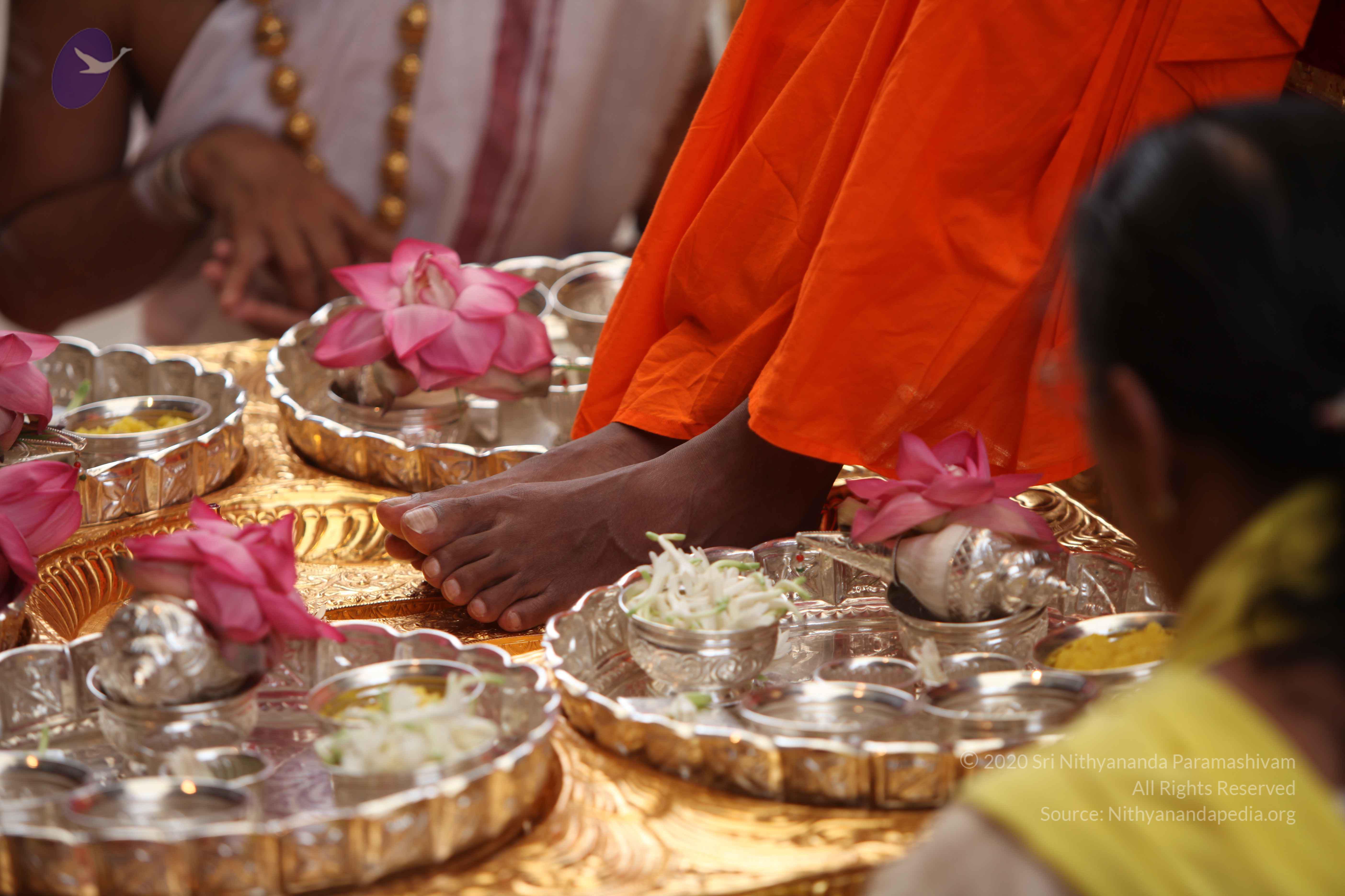 20101030_Photo_1113_IMG_7706_CMP_WM