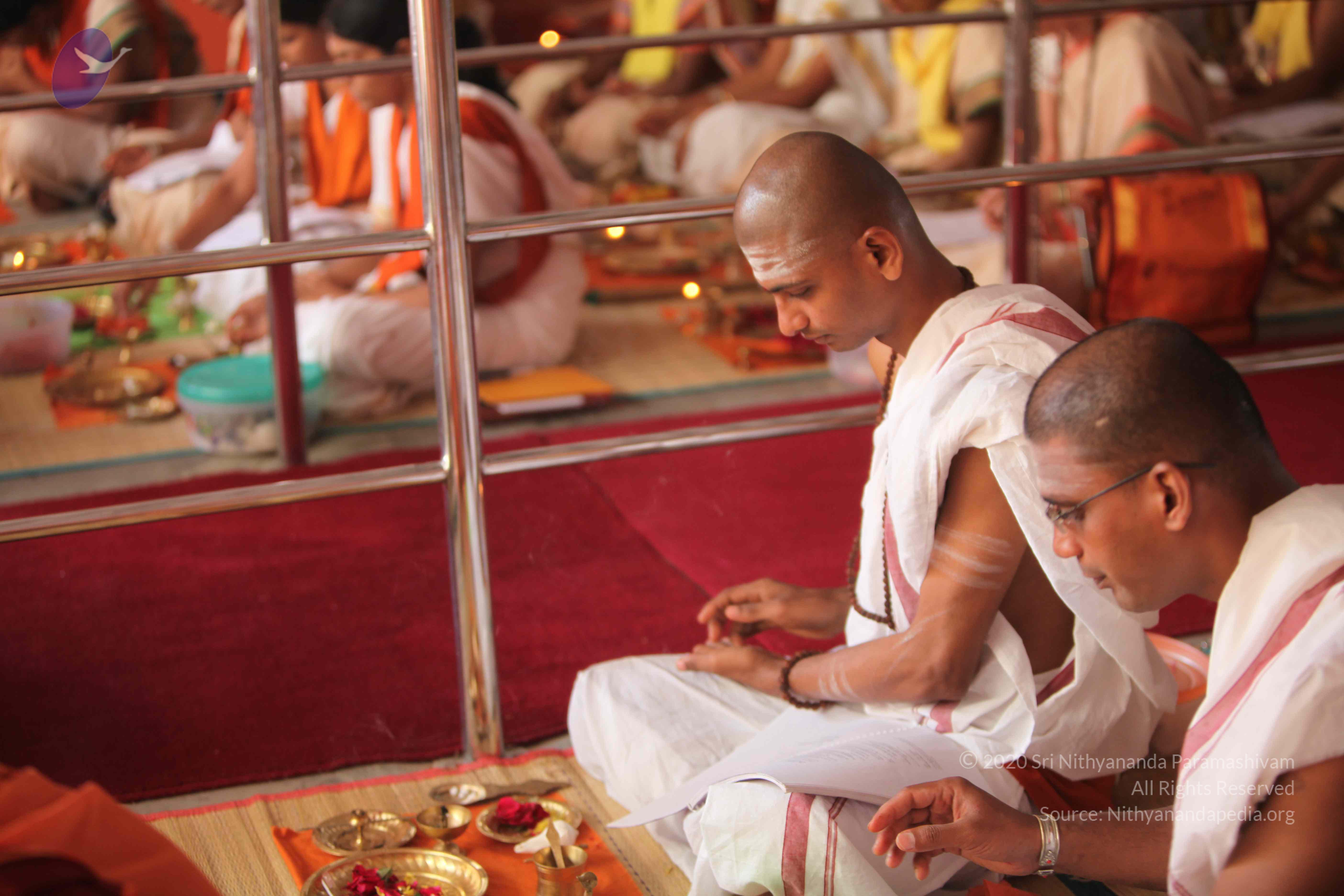 20101030_Photo_1116_IMG_7778_CMP_WM