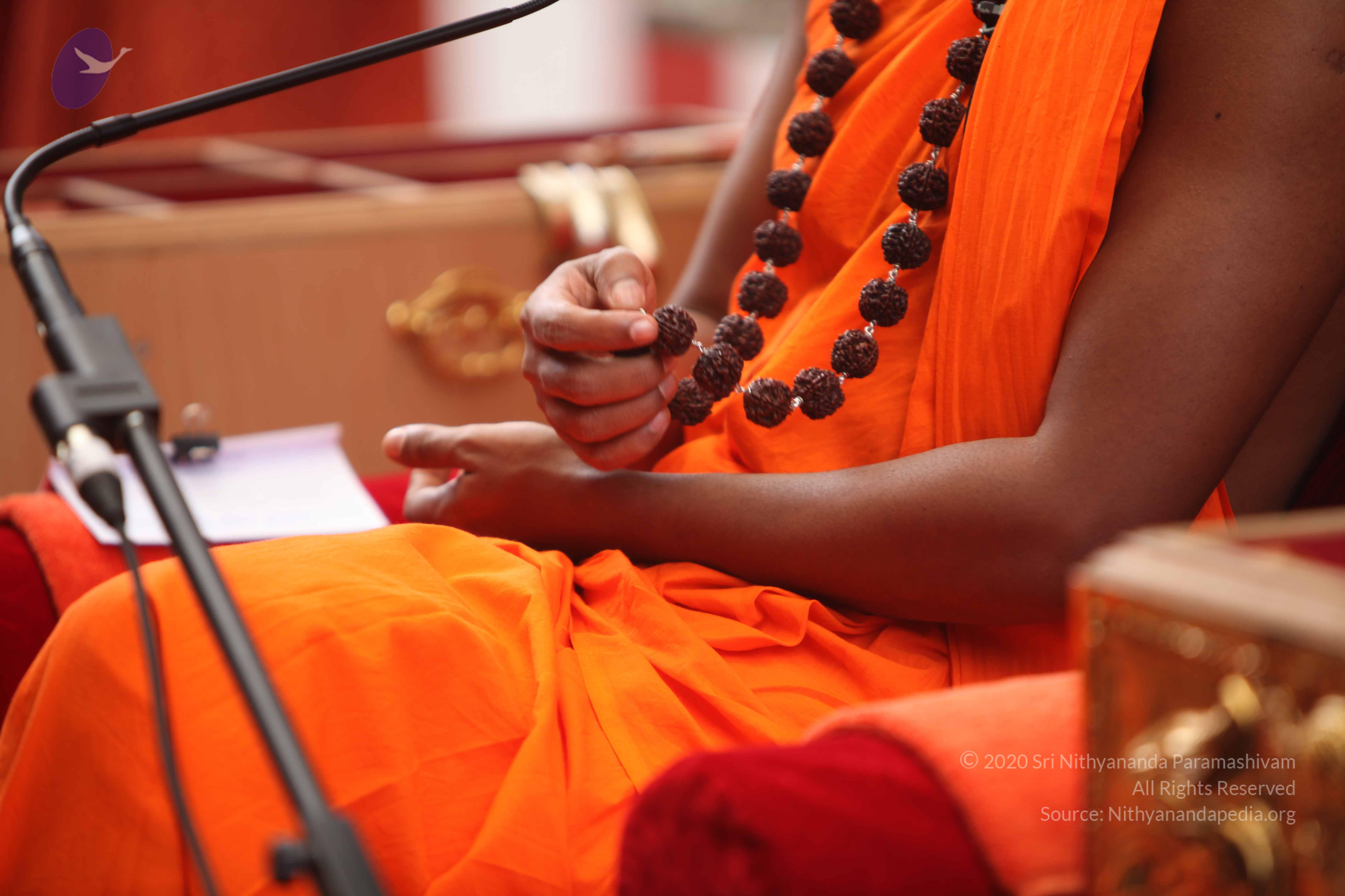 20101030_Photo_1121_IMG_7860_CMP_WM