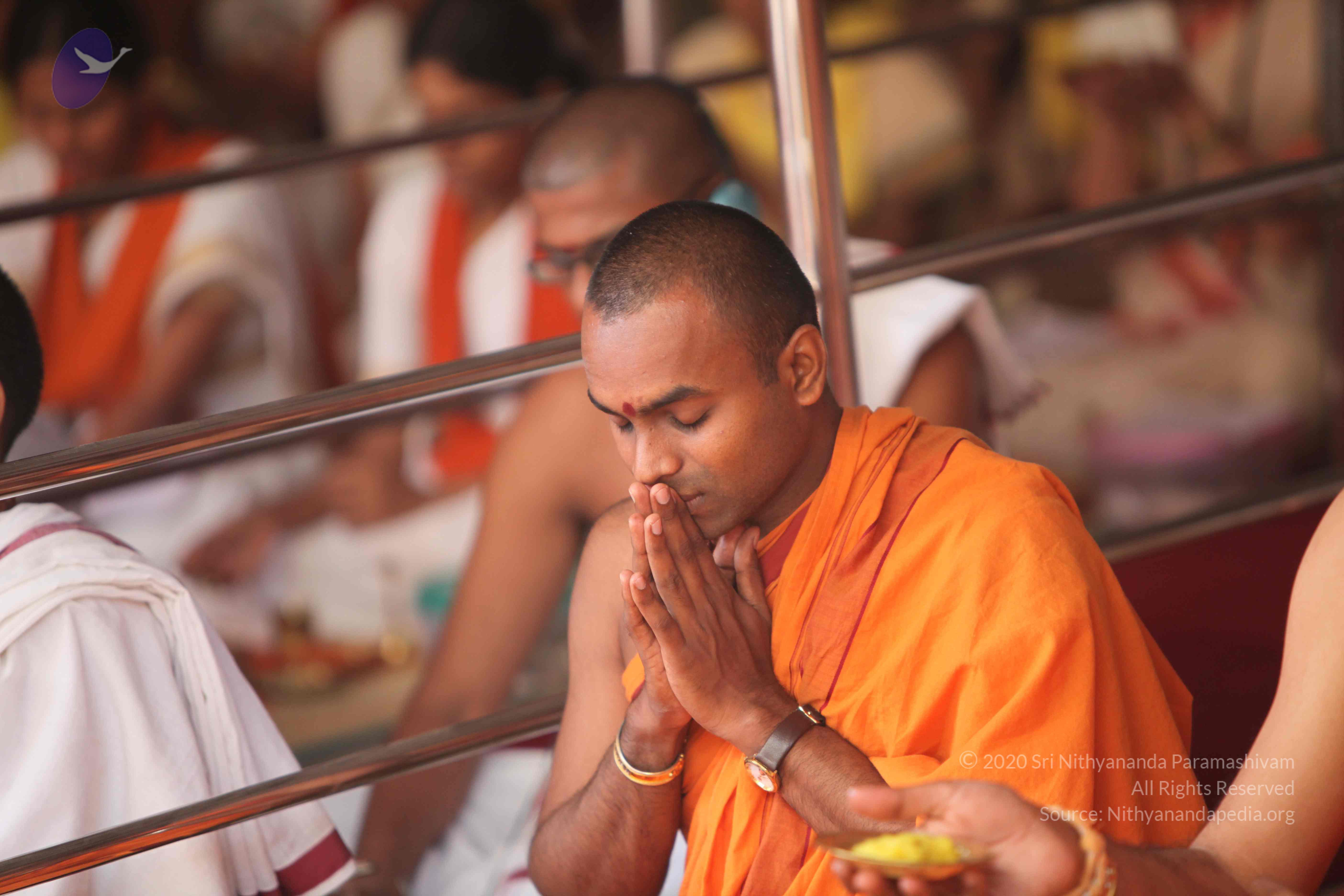 20101030_Photo_1126_IMG_7796_CMP_WM