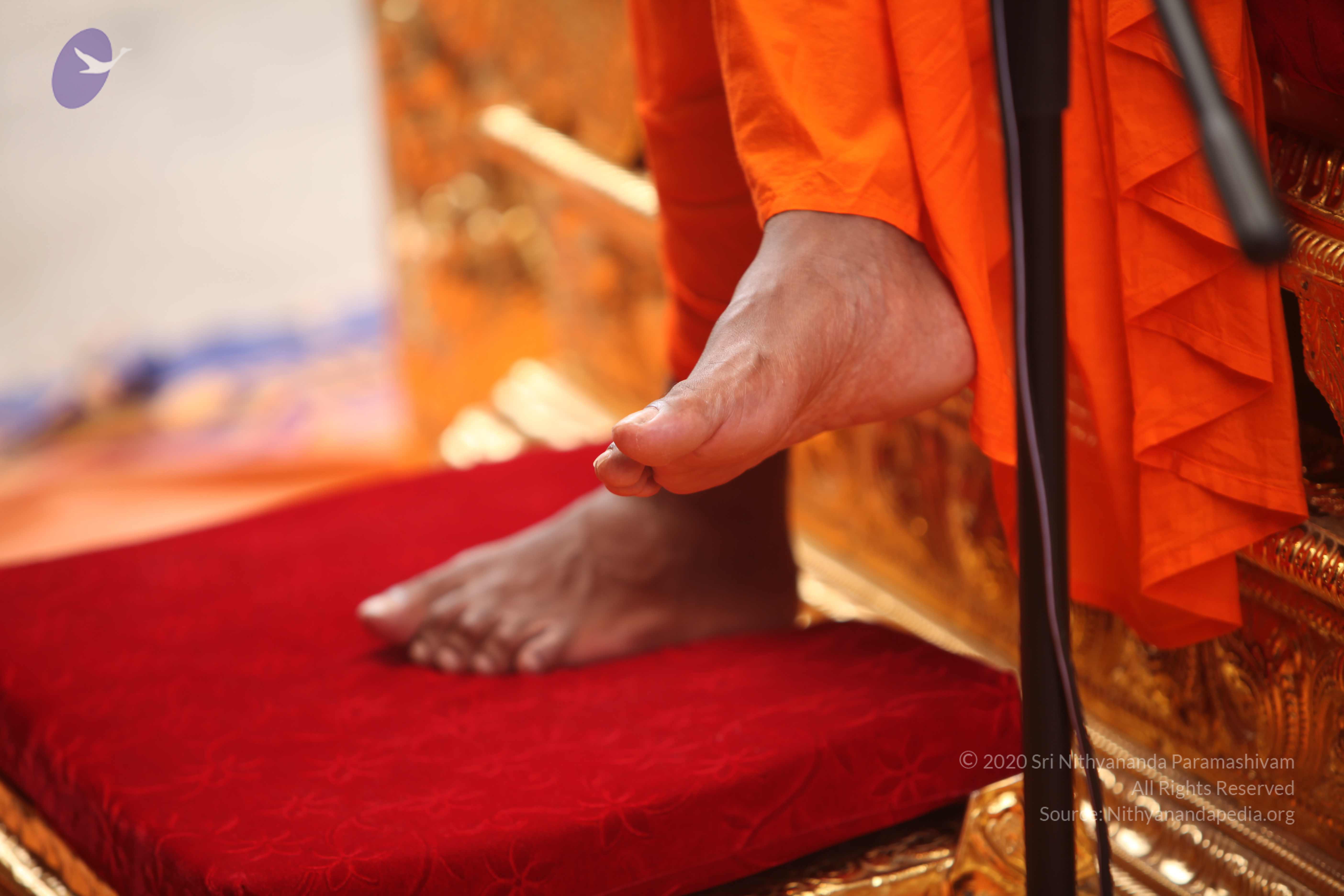 20101030_Photo_1131_IMG_7846_CMP_WM