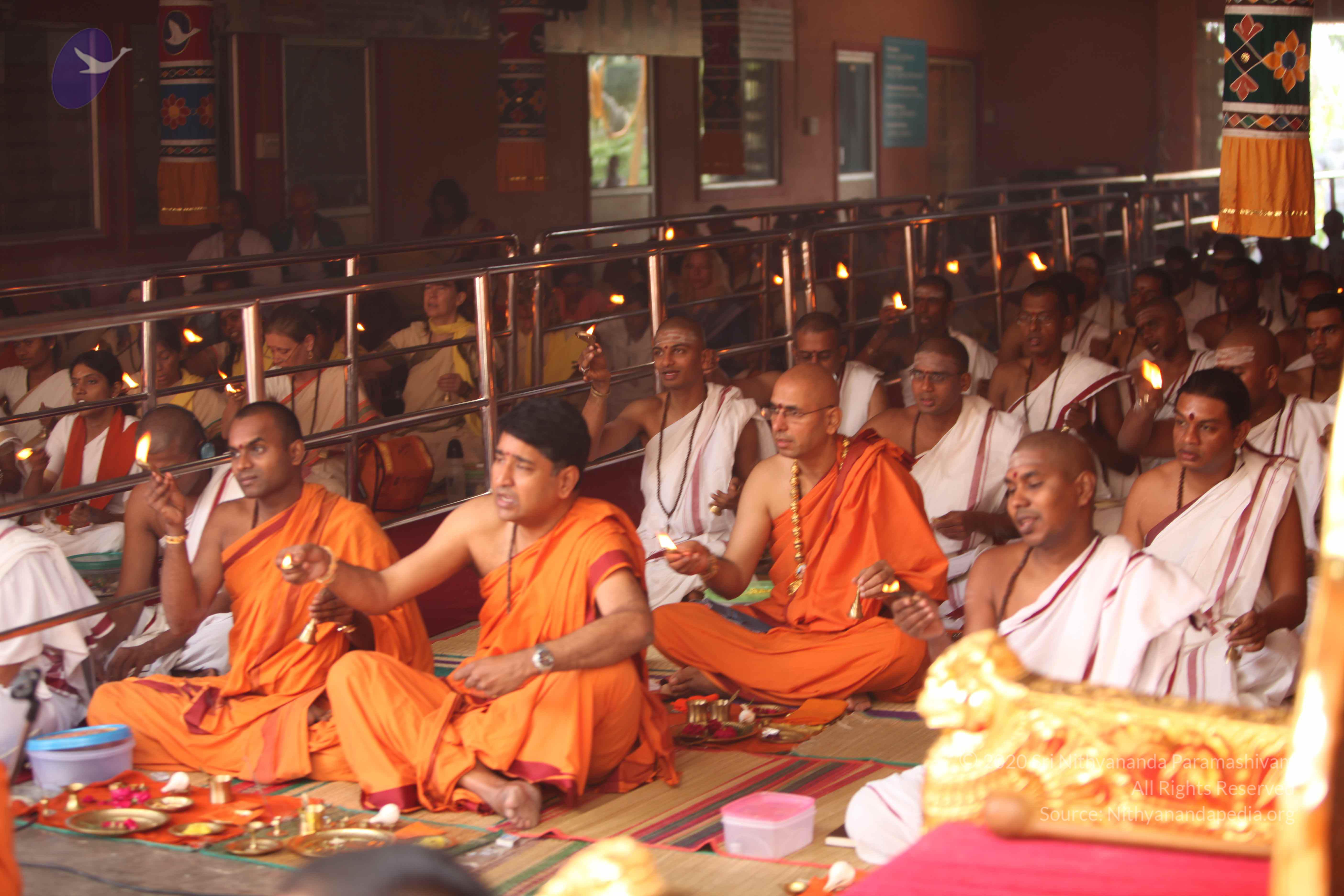 20101030_Photo_1133_IMG_7813_CMP_WM