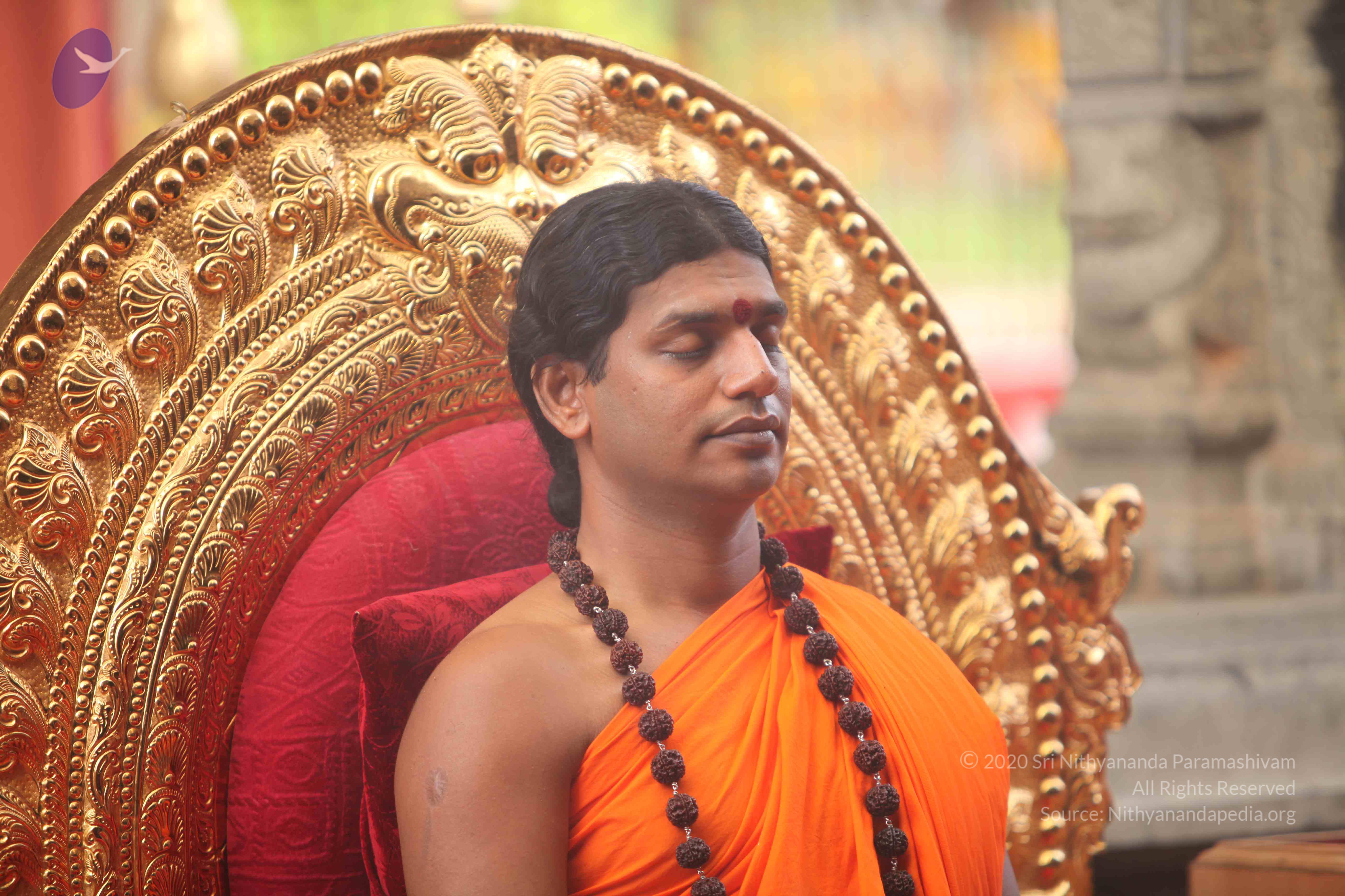 20101030_Photo_1134_IMG_7824_CMP_WM