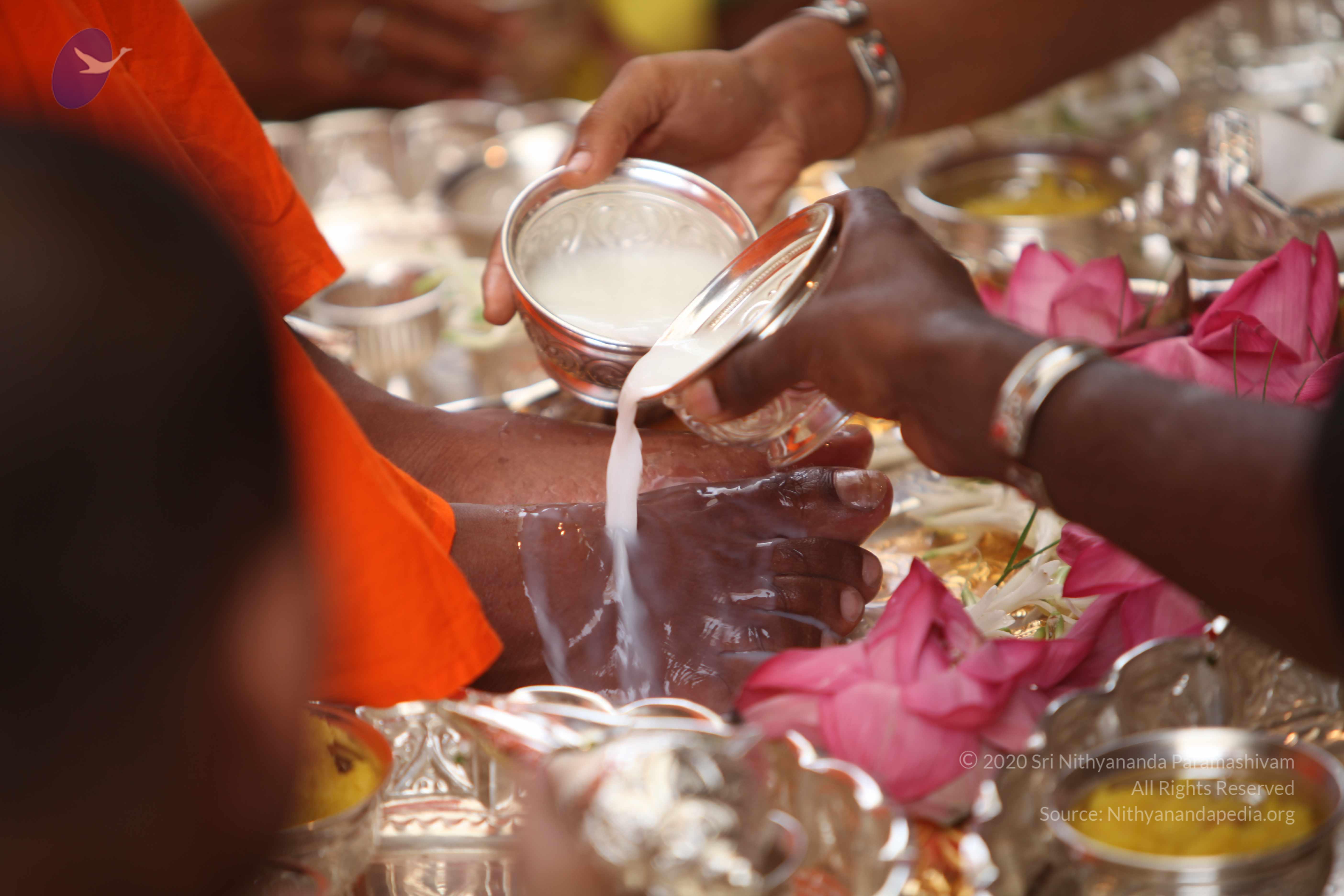 20101030_Photo_1135_IMG_7769_CMP_WM