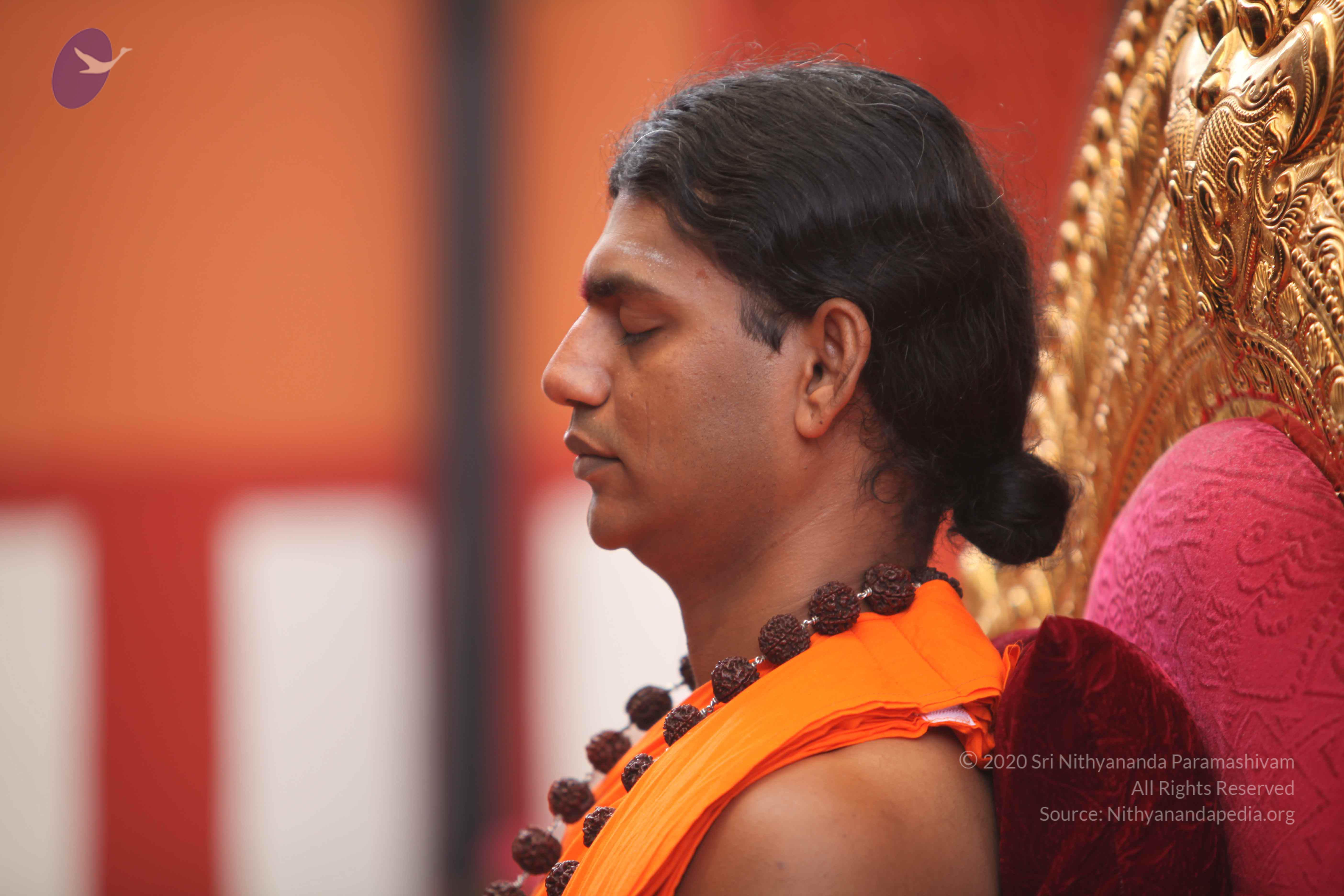 20101030_Photo_1138_IMG_7717_CMP_WM