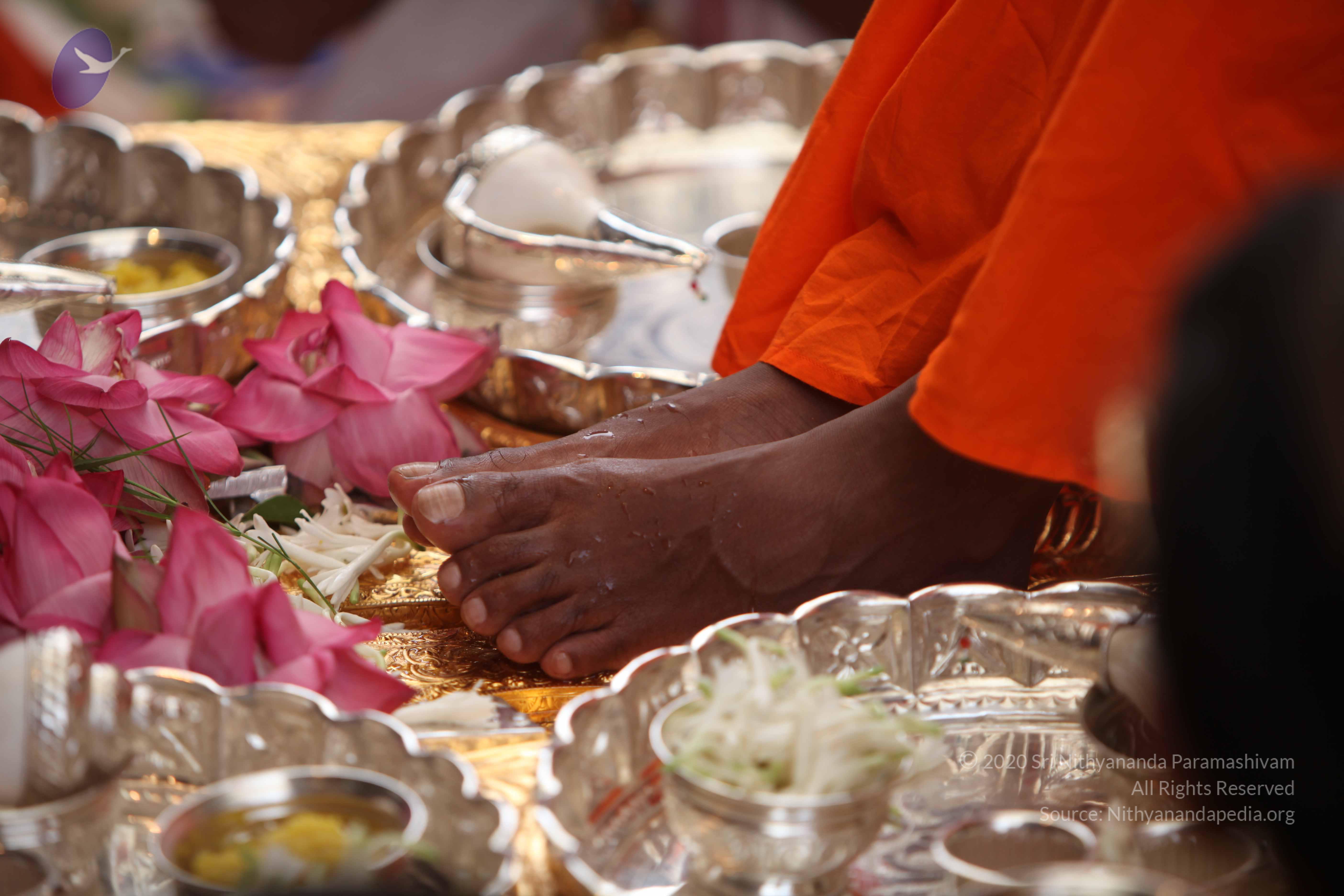 20101030_Photo_1142_IMG_7742_CMP_WM