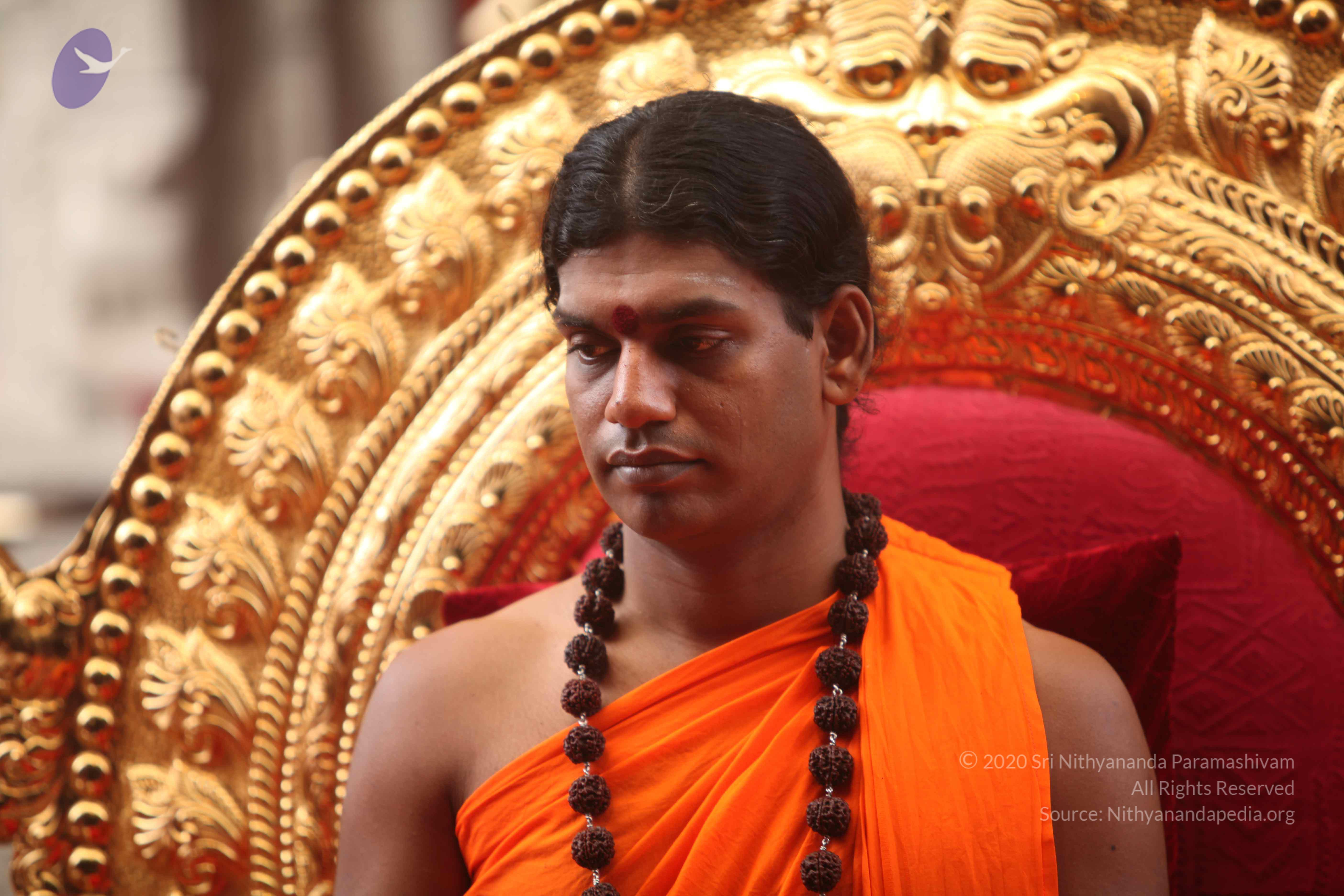 20101030_Photo_1144_IMG_7836_CMP_WM